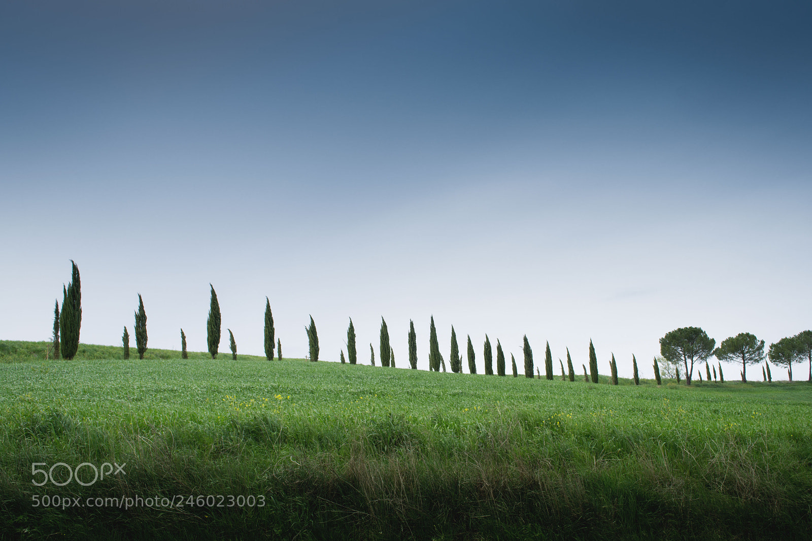 Nikon D3100 sample photo. Somewhere in val d'orcia photography
