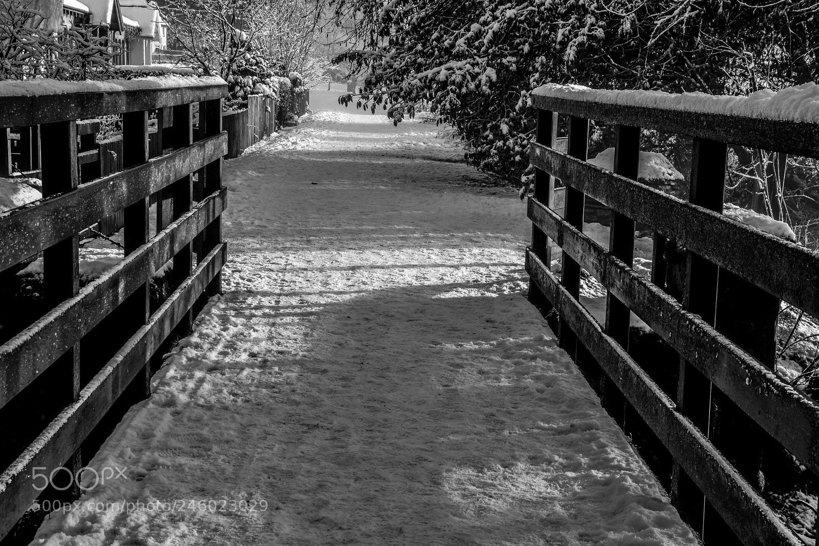 Nikon D7200 sample photo. Original edited photography