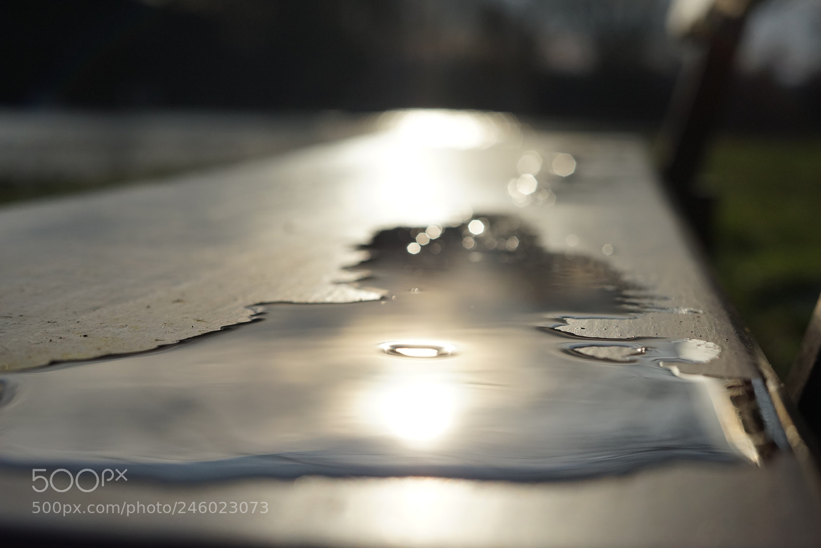 Sony a7R sample photo. Die ersten sonnenstrahlen photography