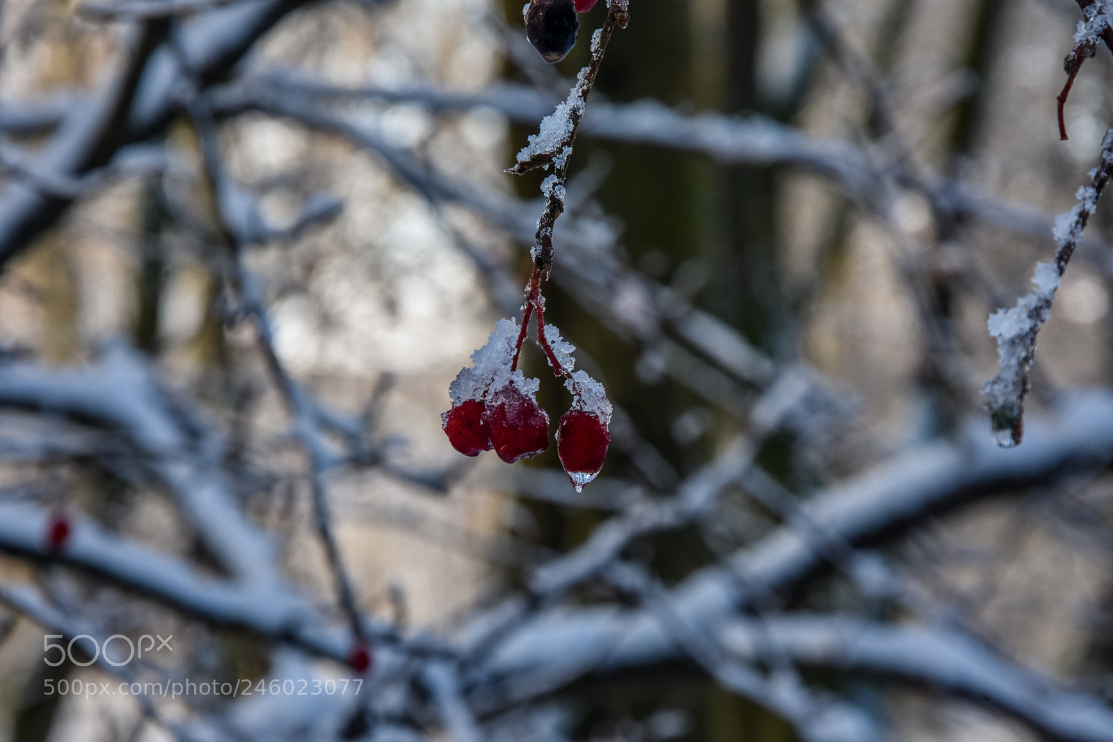 Nikon D7200 sample photo. Original edited photography