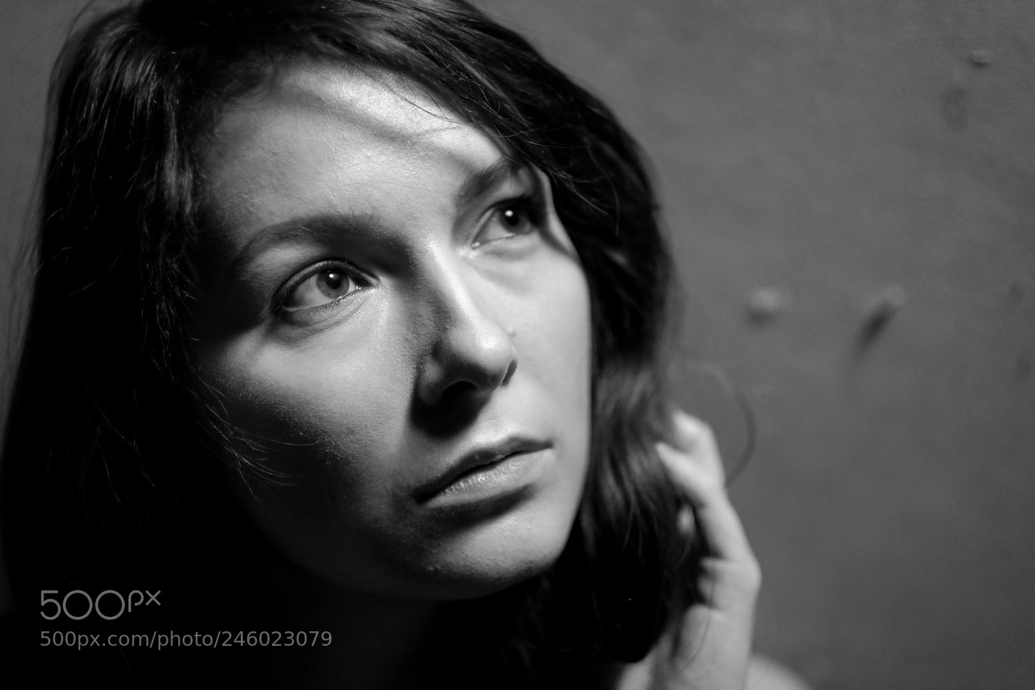 Fujifilm X-T2 sample photo. Nici photography