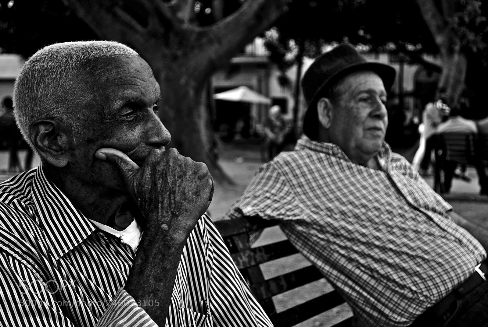 Nikon D5000 sample photo. Relax photography