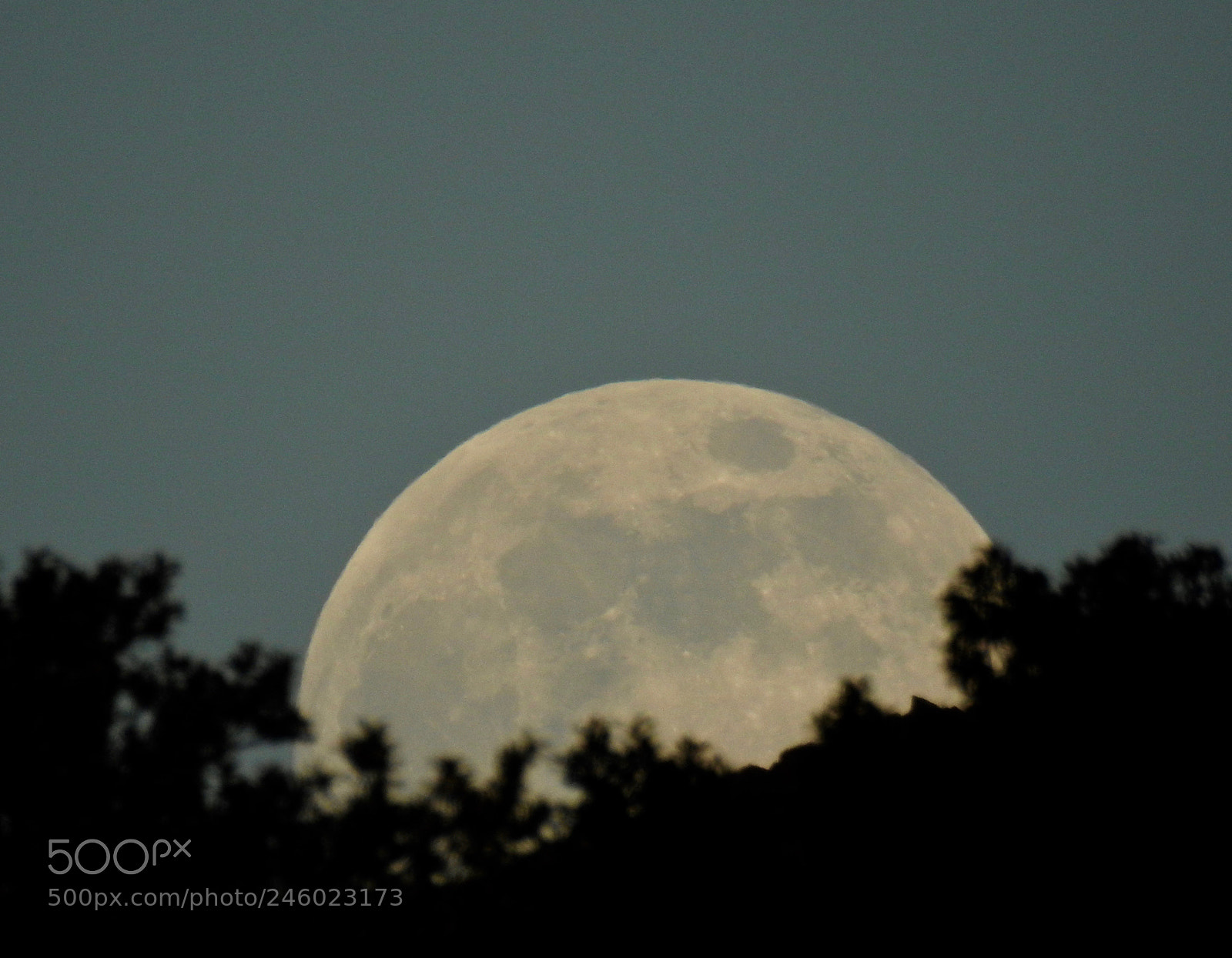 Nikon Coolpix P900 sample photo. Full moon risisng photography