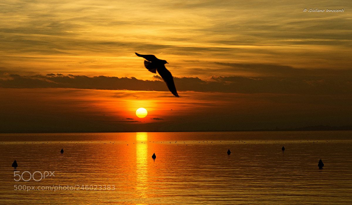 Nikon D7200 sample photo. Sunset photography