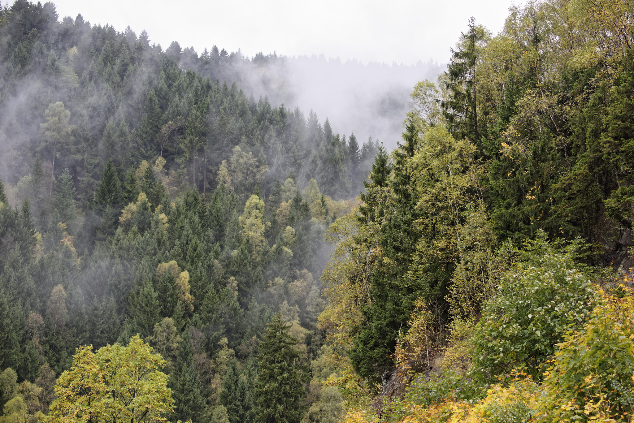 Nikon D810 sample photo. Okertalsperre in harz. photography