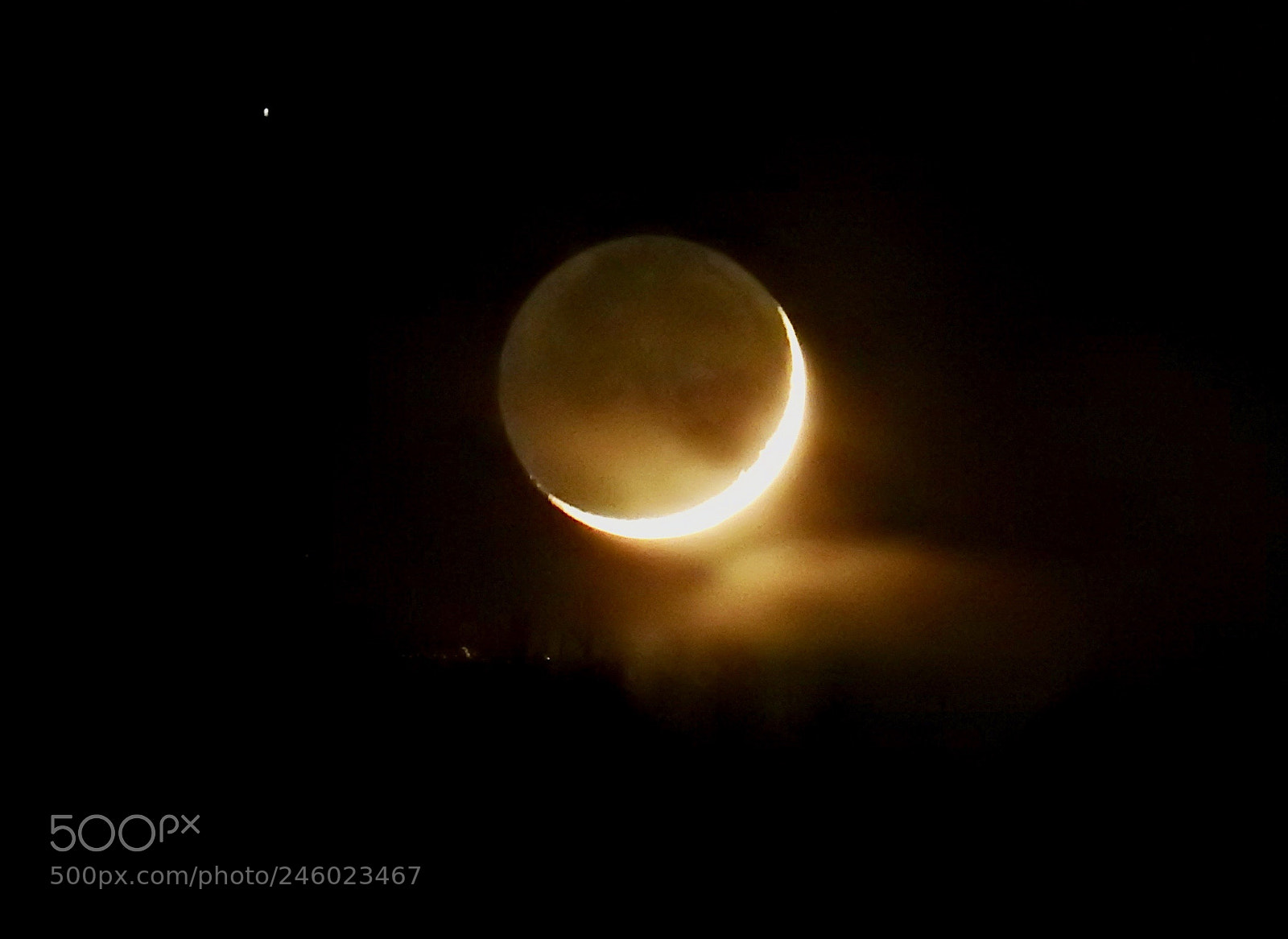 Nikon Coolpix P900 sample photo. Moon and skat photography