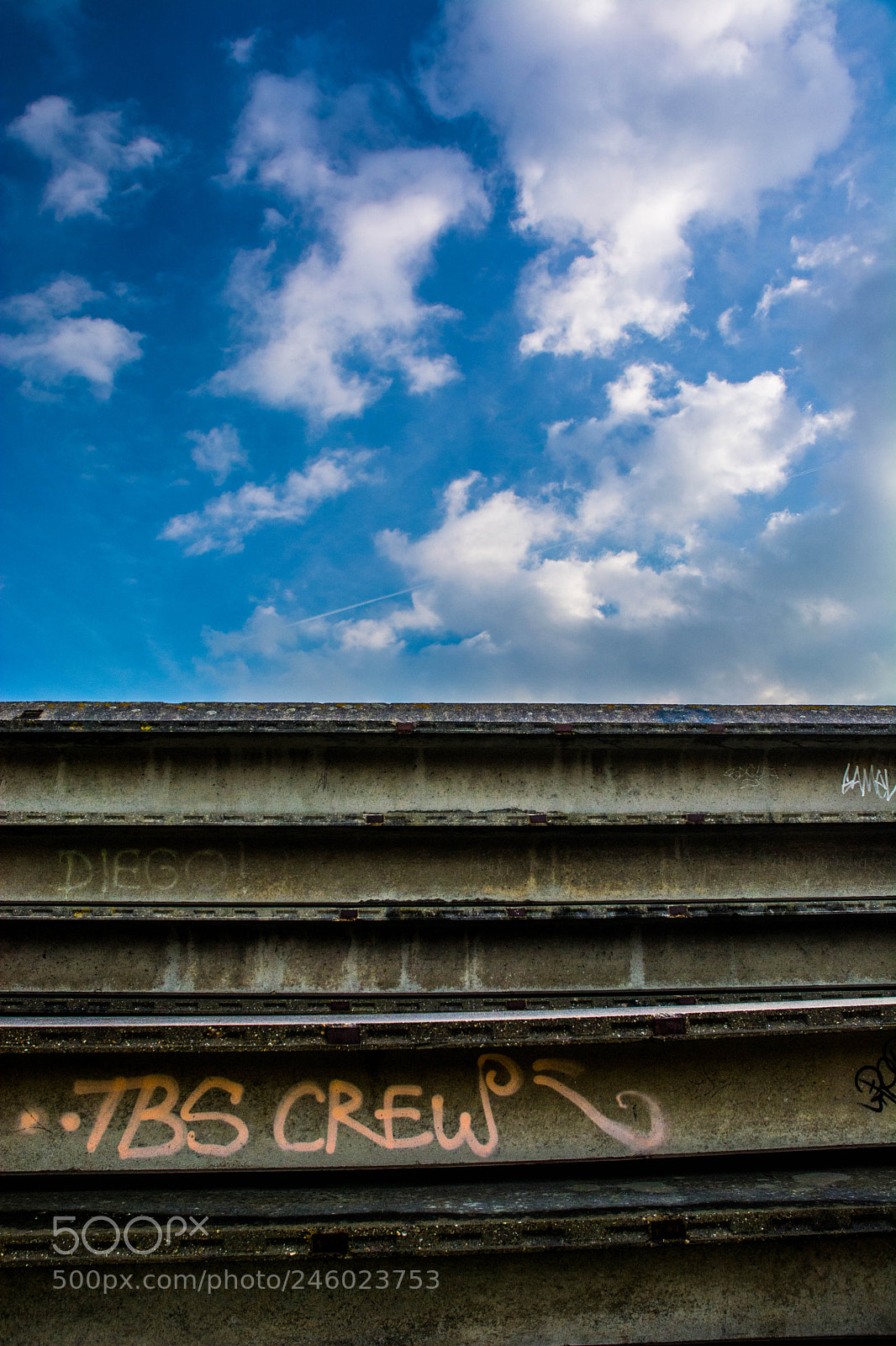Nikon D5200 sample photo. Beauty divided photography