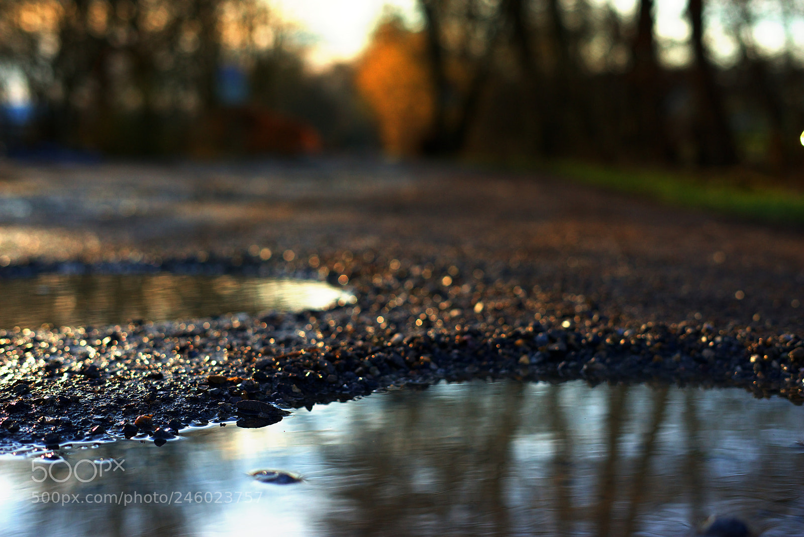 Sony a7R sample photo. Sunset photography