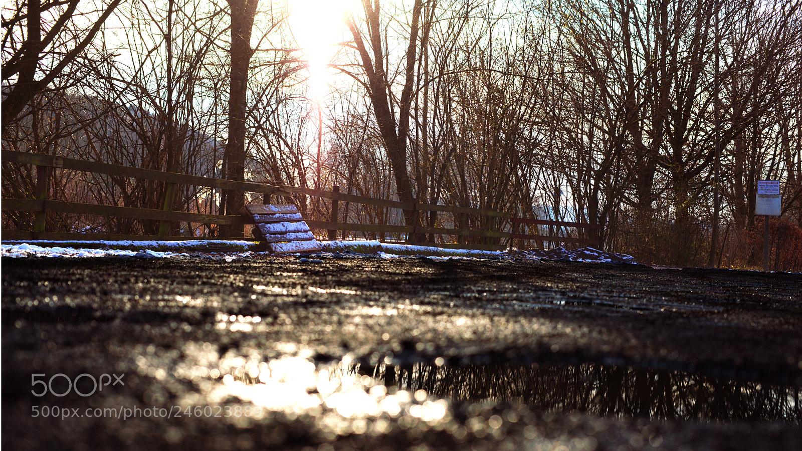Sony a7R sample photo. Beautiful nature photography