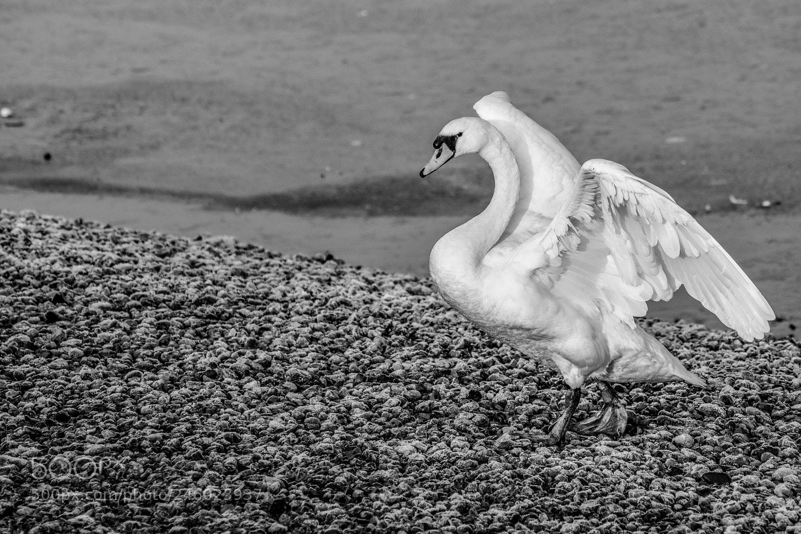 Nikon D7200 sample photo. Original edited photography