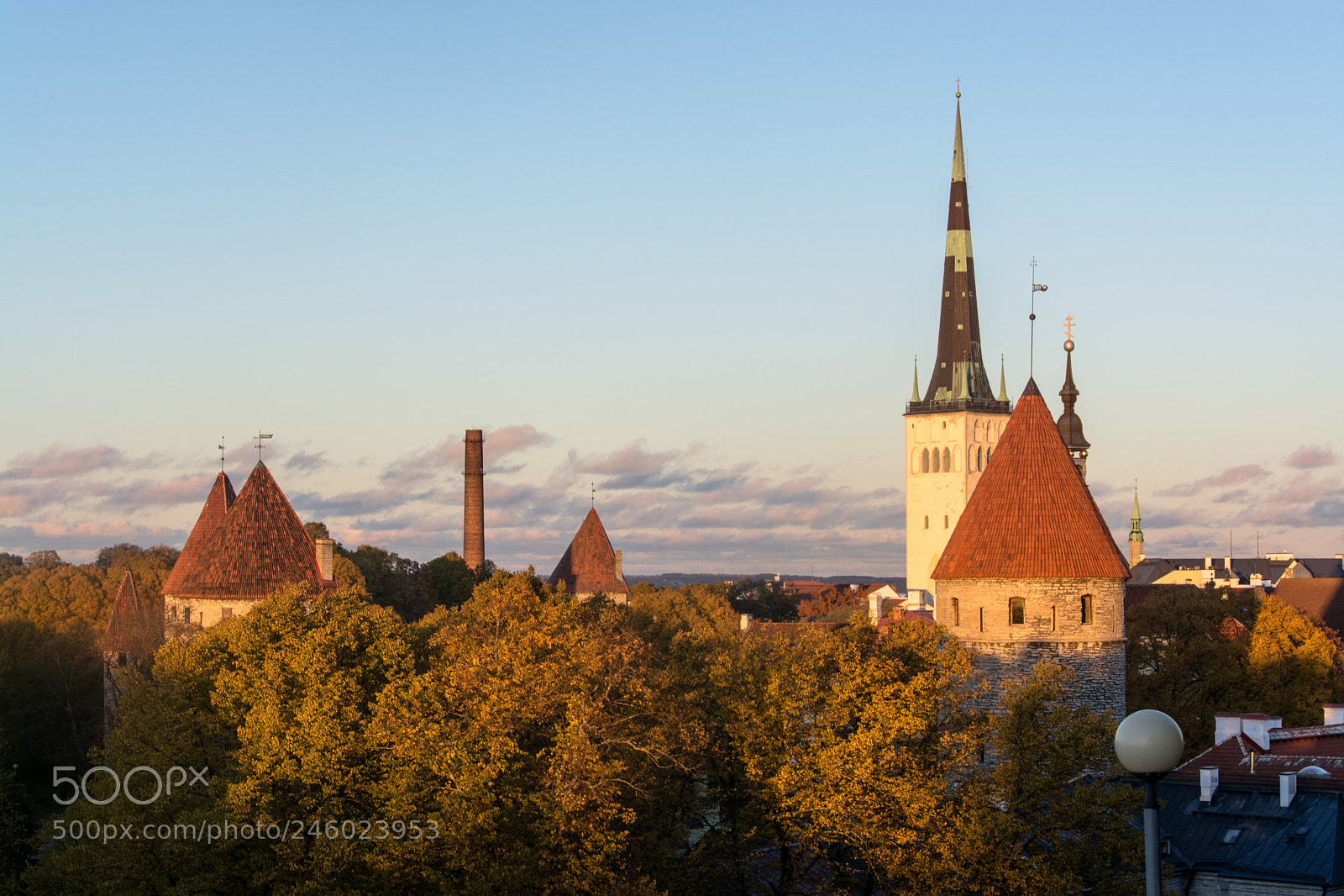 Nikon D5200 sample photo. Colors of autumn photography