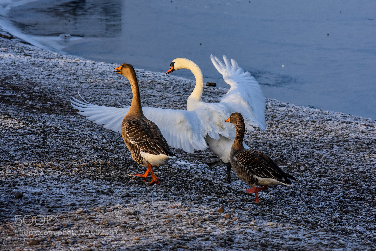 Nikon D7200 sample photo. Original edited photography