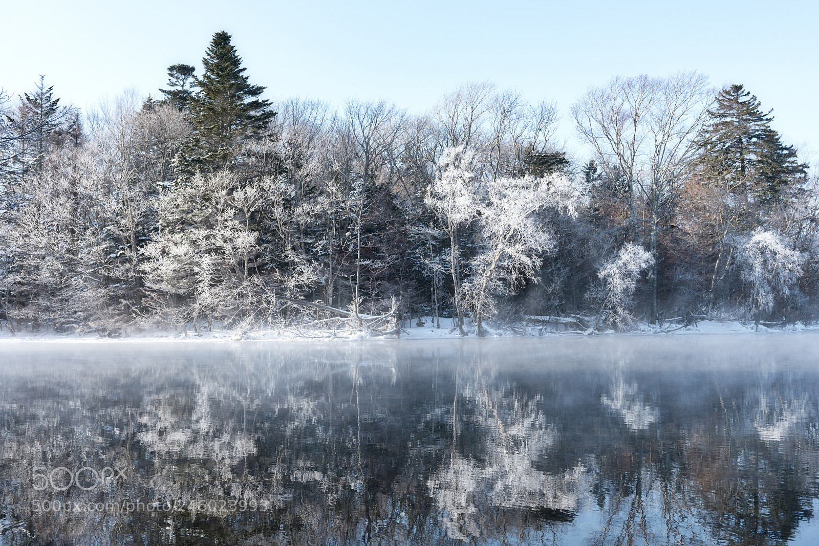 Sony a7R III sample photo. Color in winter photography