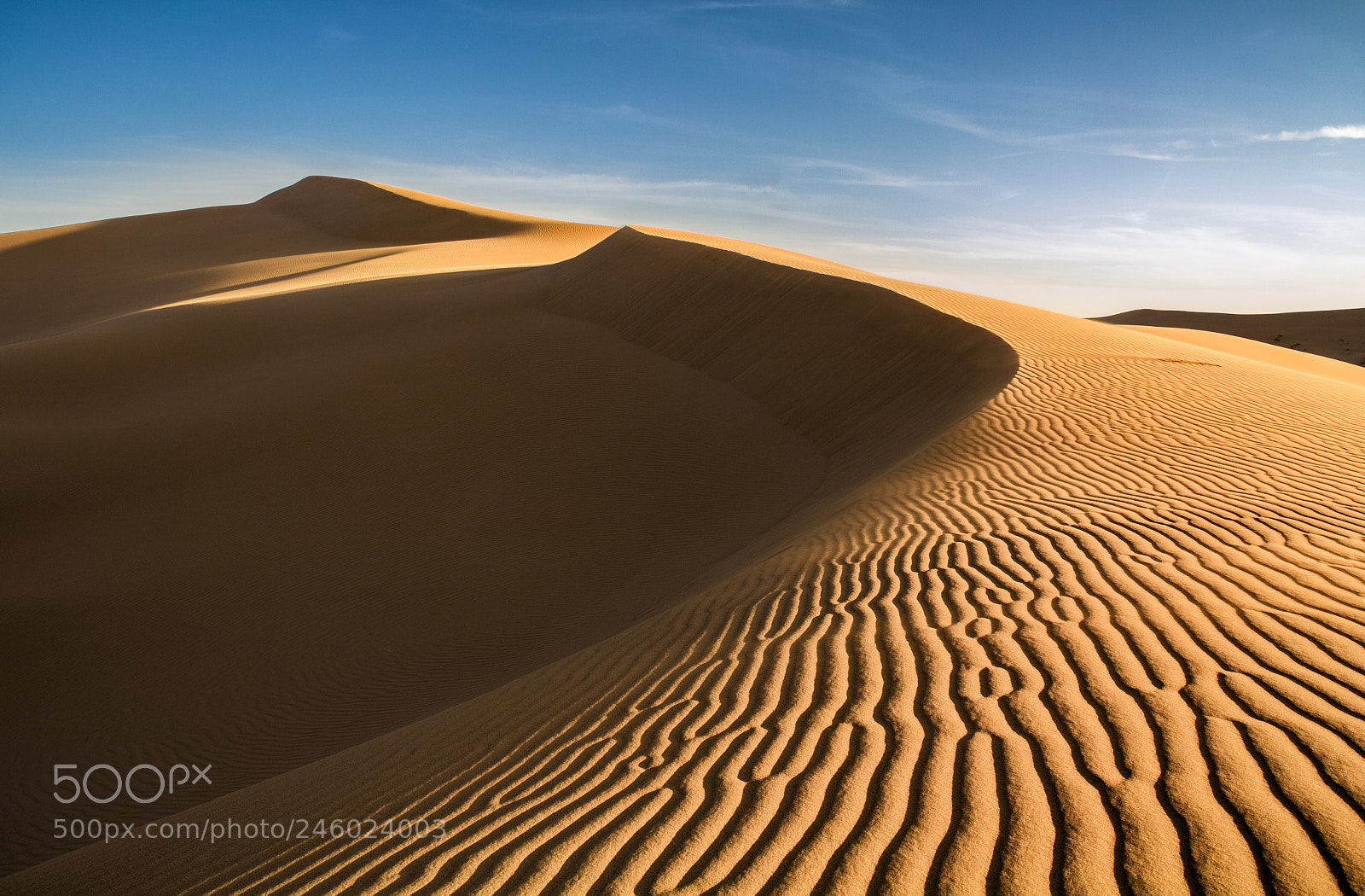 Canon EOS 60D sample photo. Varzaneh desert photography