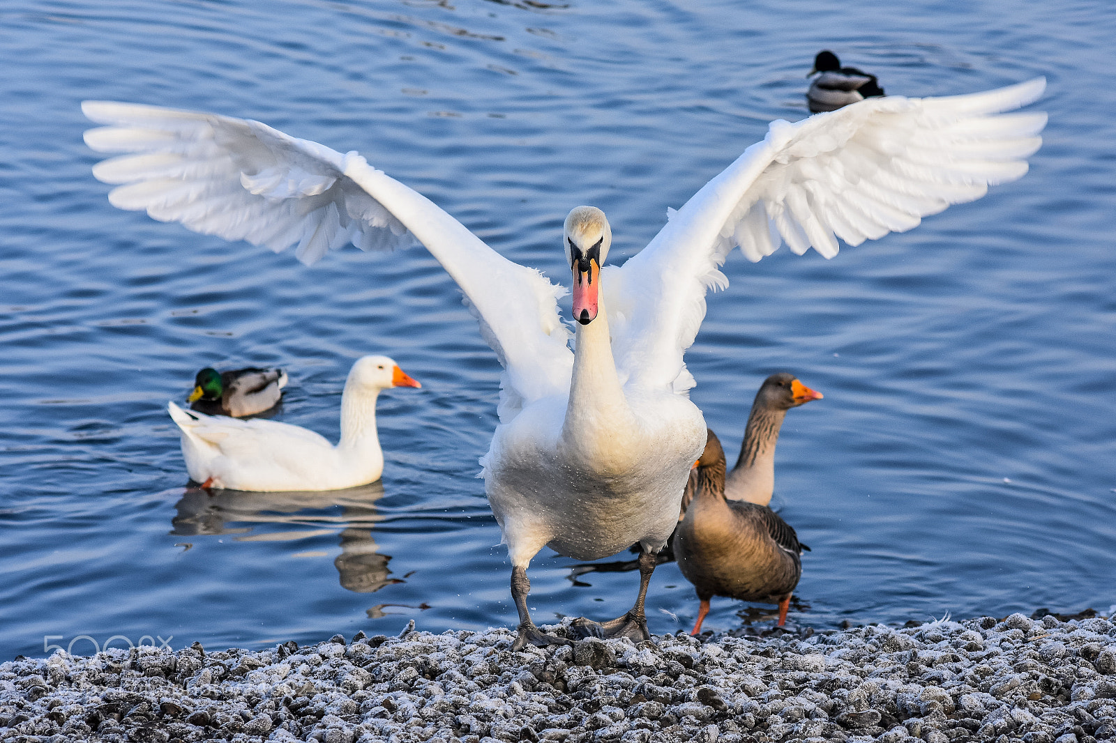 Nikon D7200 sample photo. Original edited photography