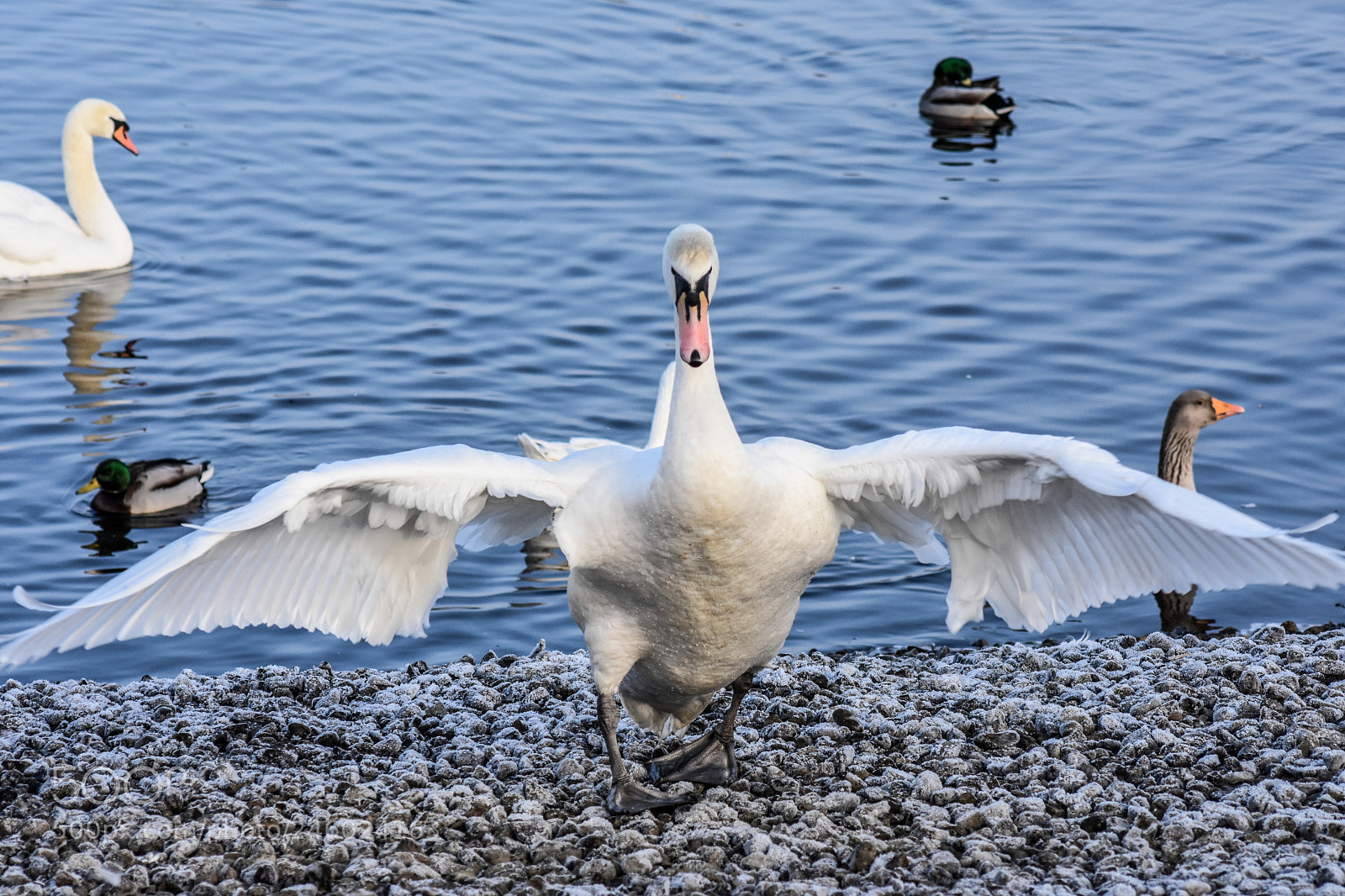 Nikon D7200 sample photo. Original edited photography