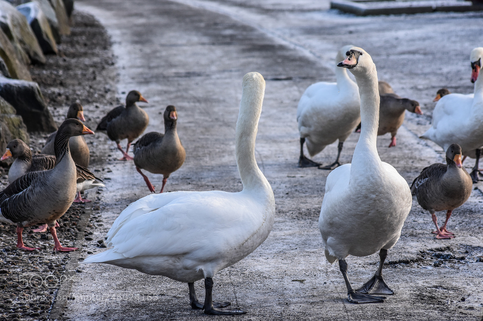 Nikon D7200 sample photo. Original edited photography