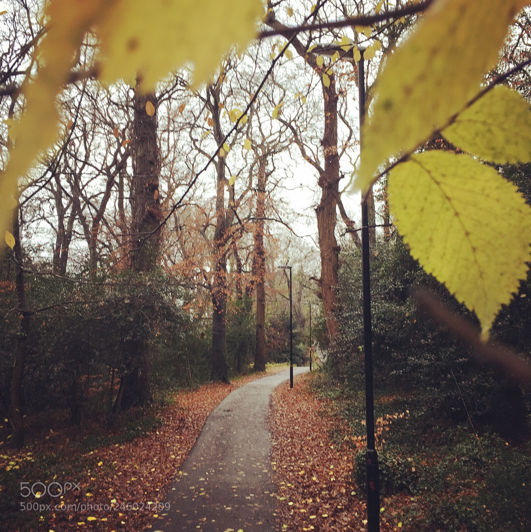 Apple iPhone 6s sample photo. Footpath photography