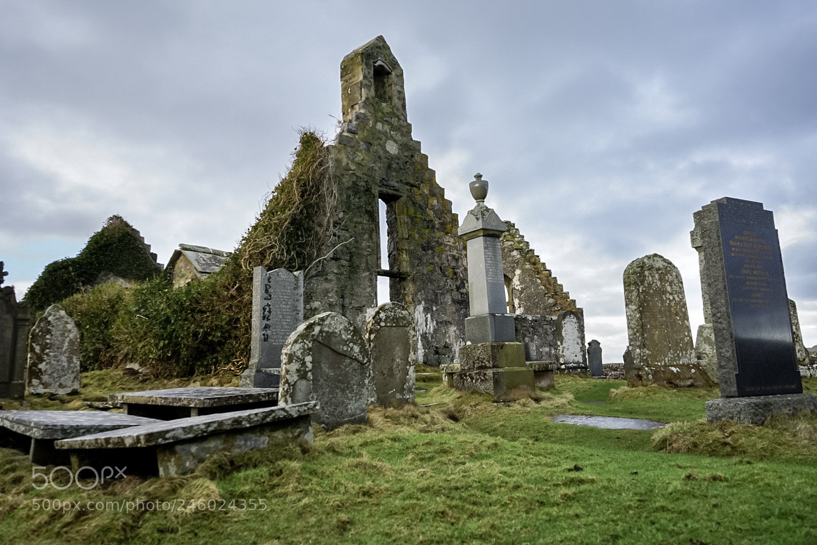 Sony a7 II sample photo. Lonely bones - scotland photography