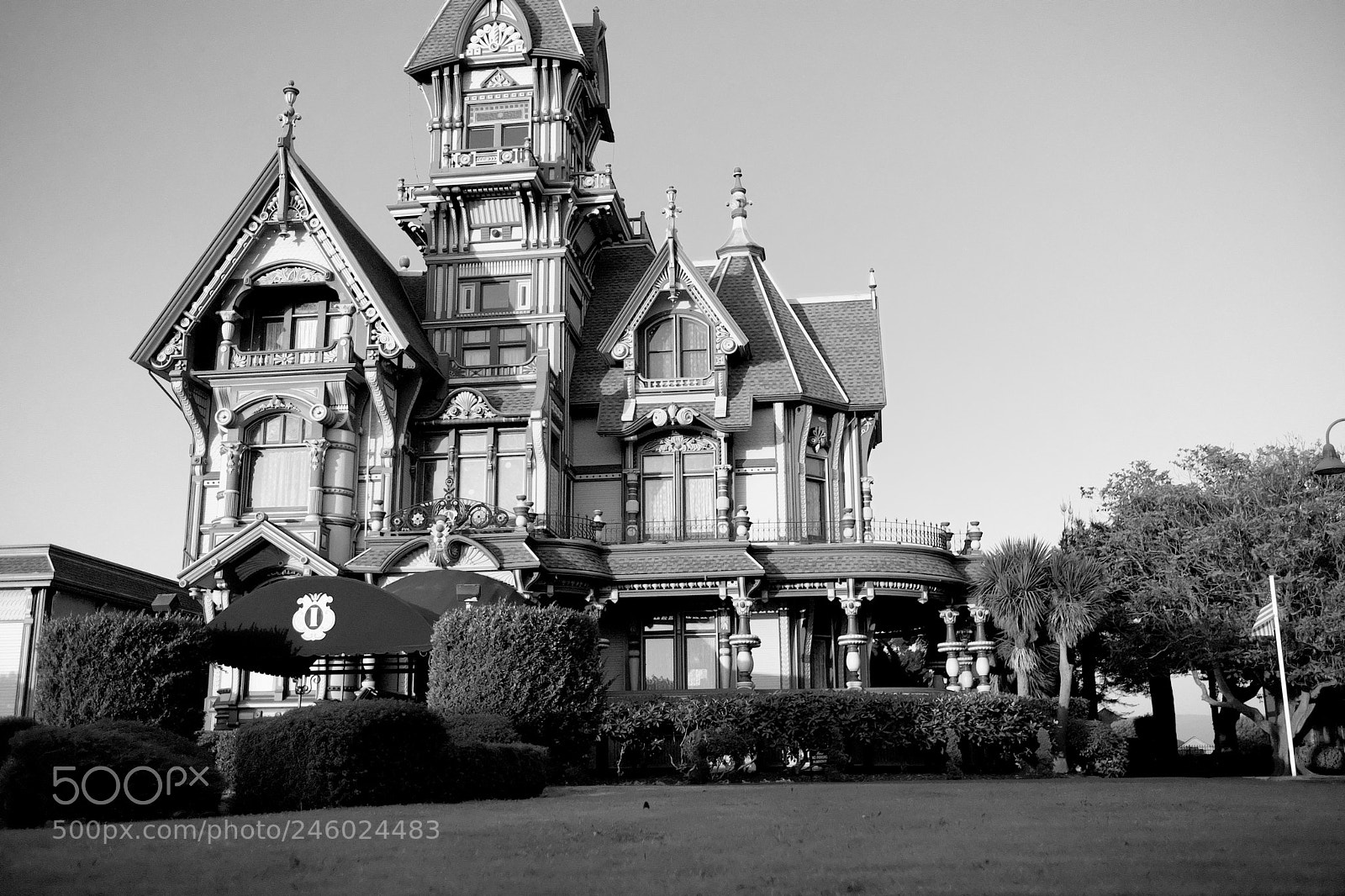 Fujifilm X-T2 sample photo. North coast victorian photography