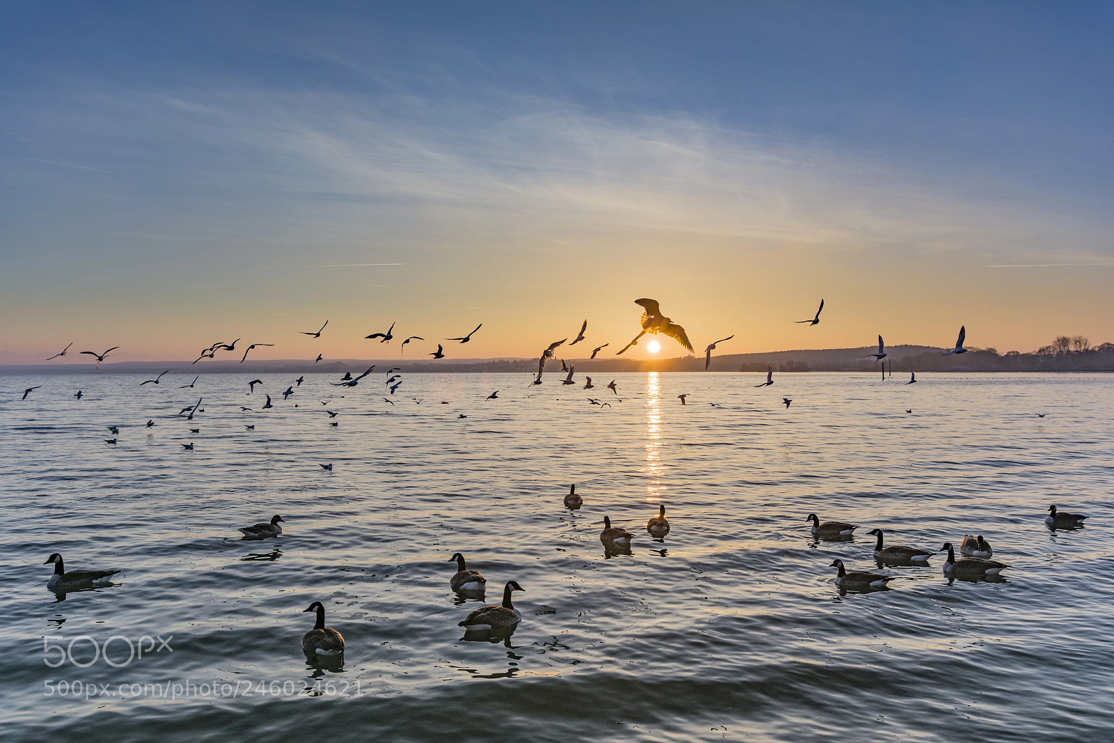 Nikon D5200 sample photo. The last flight of photography