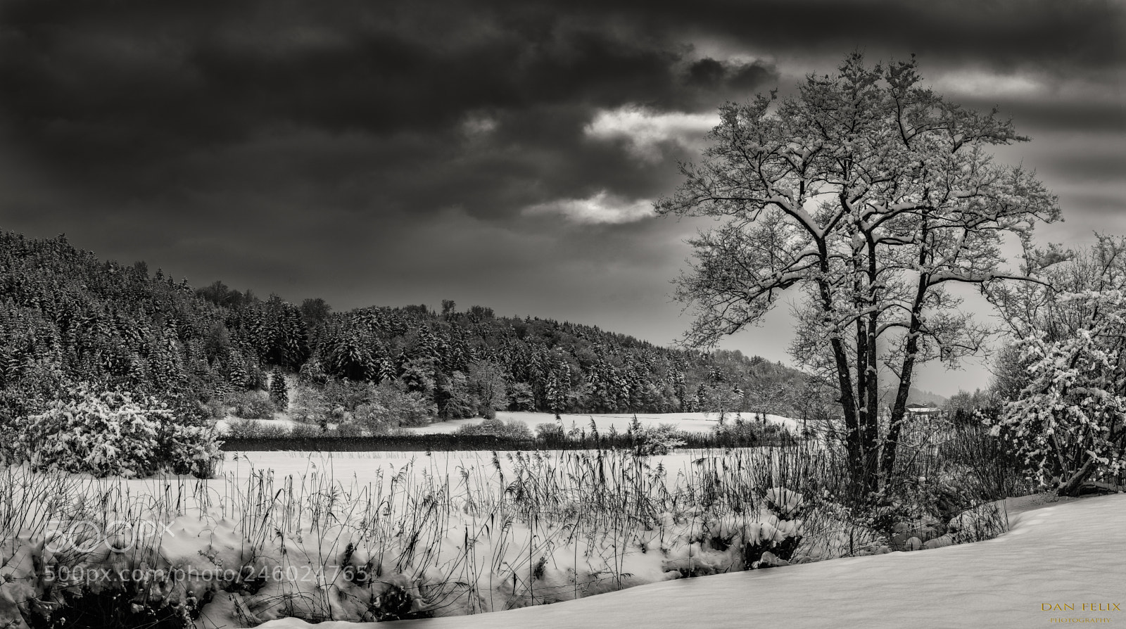 Nikon D800 sample photo. Winterwonderland photography