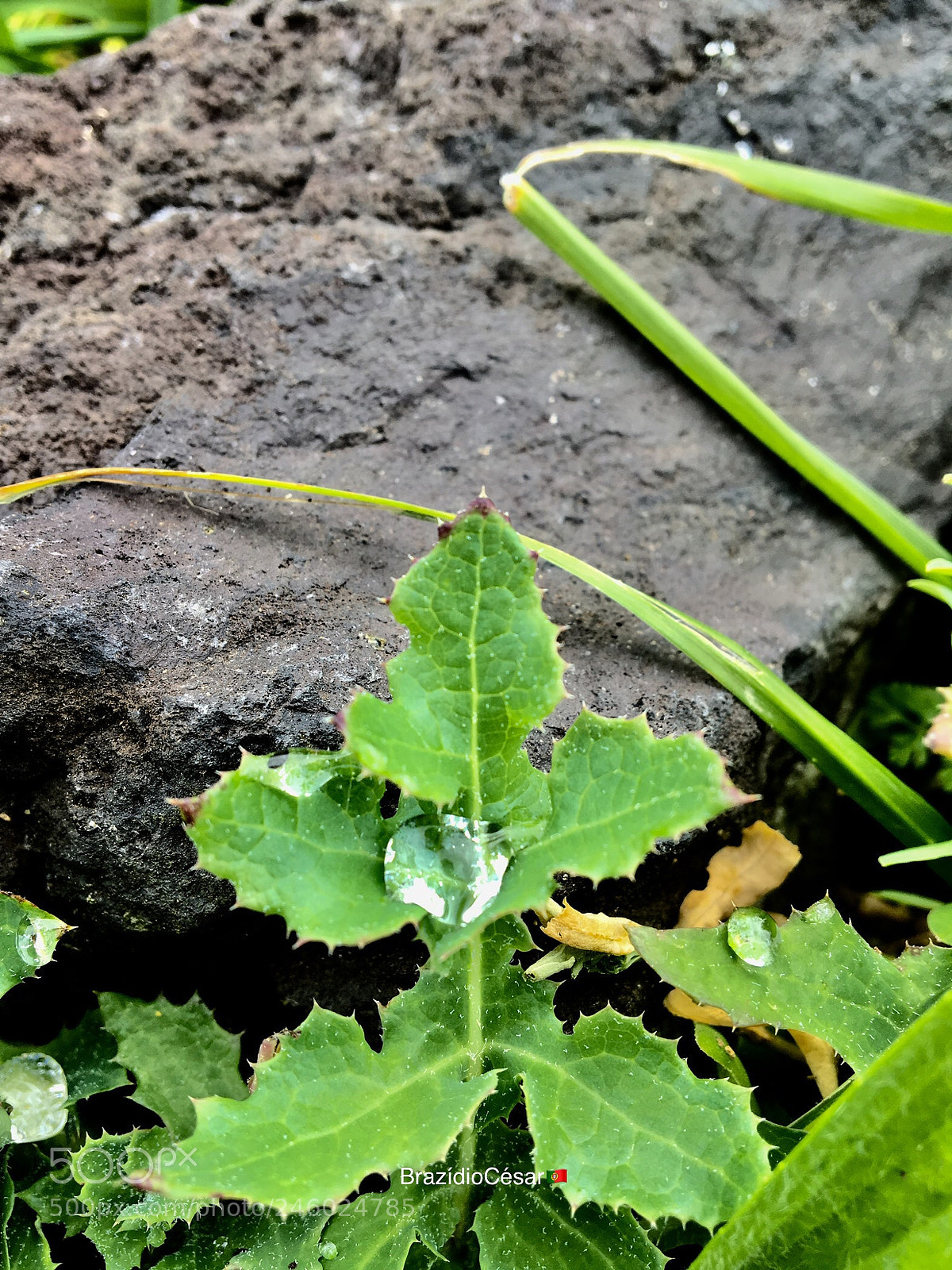 Apple iPhone 6s sample photo. Tears of the clouds photography