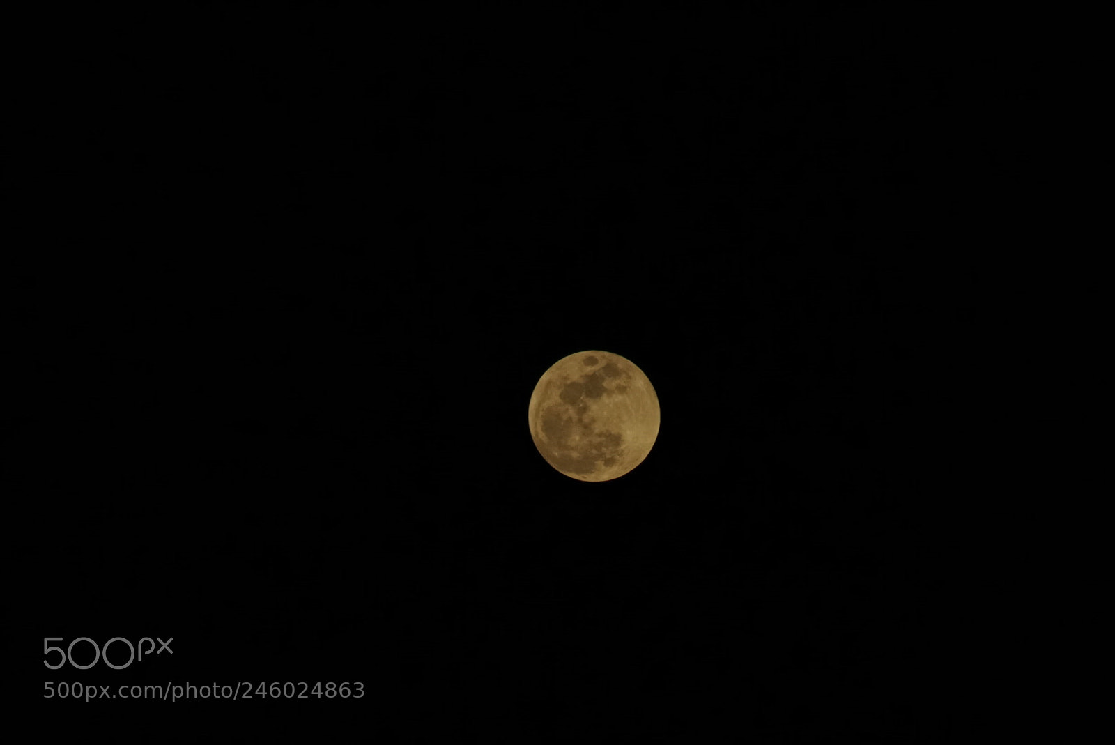 Sony a7R II sample photo. Untitled photography