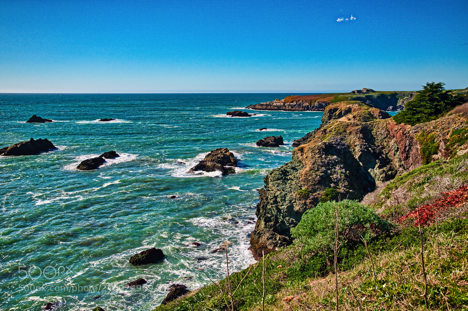 Nikon D850 sample photo. Our california coast this photography