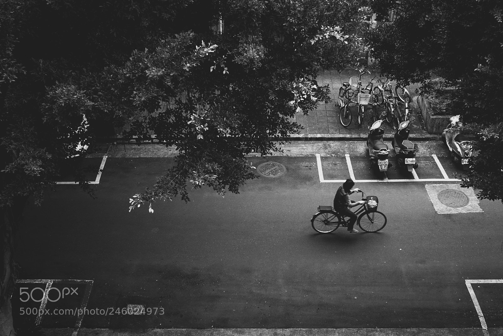 Sony a7R sample photo. Untitled photography
