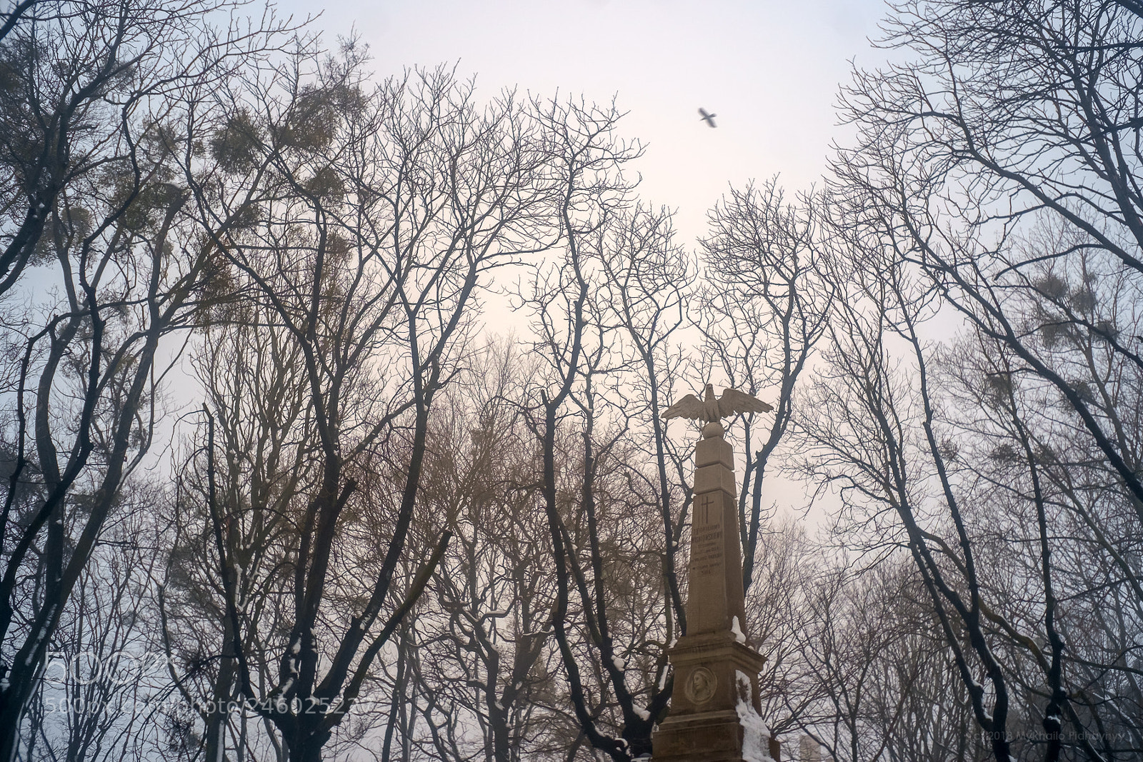 Fujifilm X-E1 sample photo. Birds photography