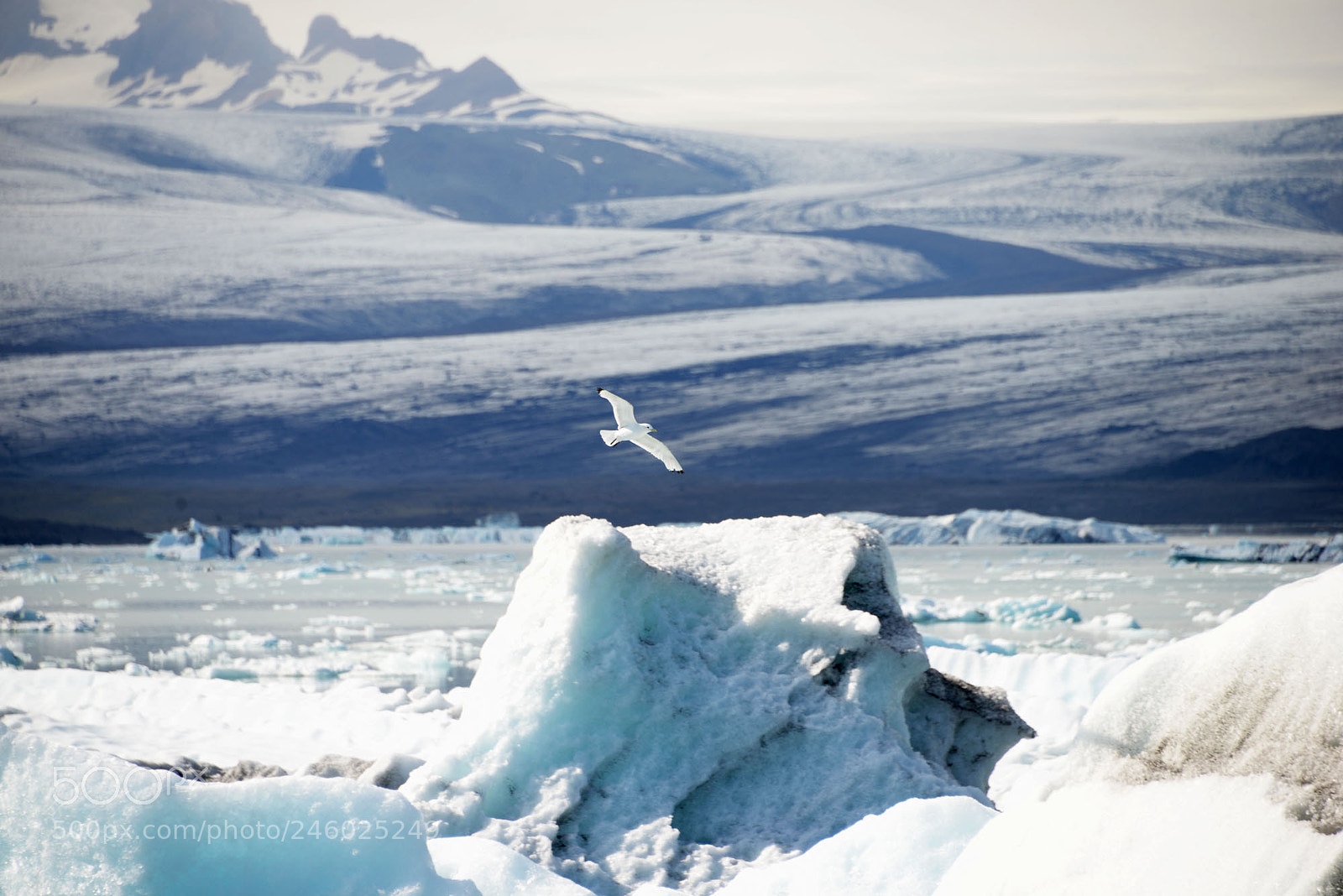 Nikon D600 sample photo. Landscape in the blue photography