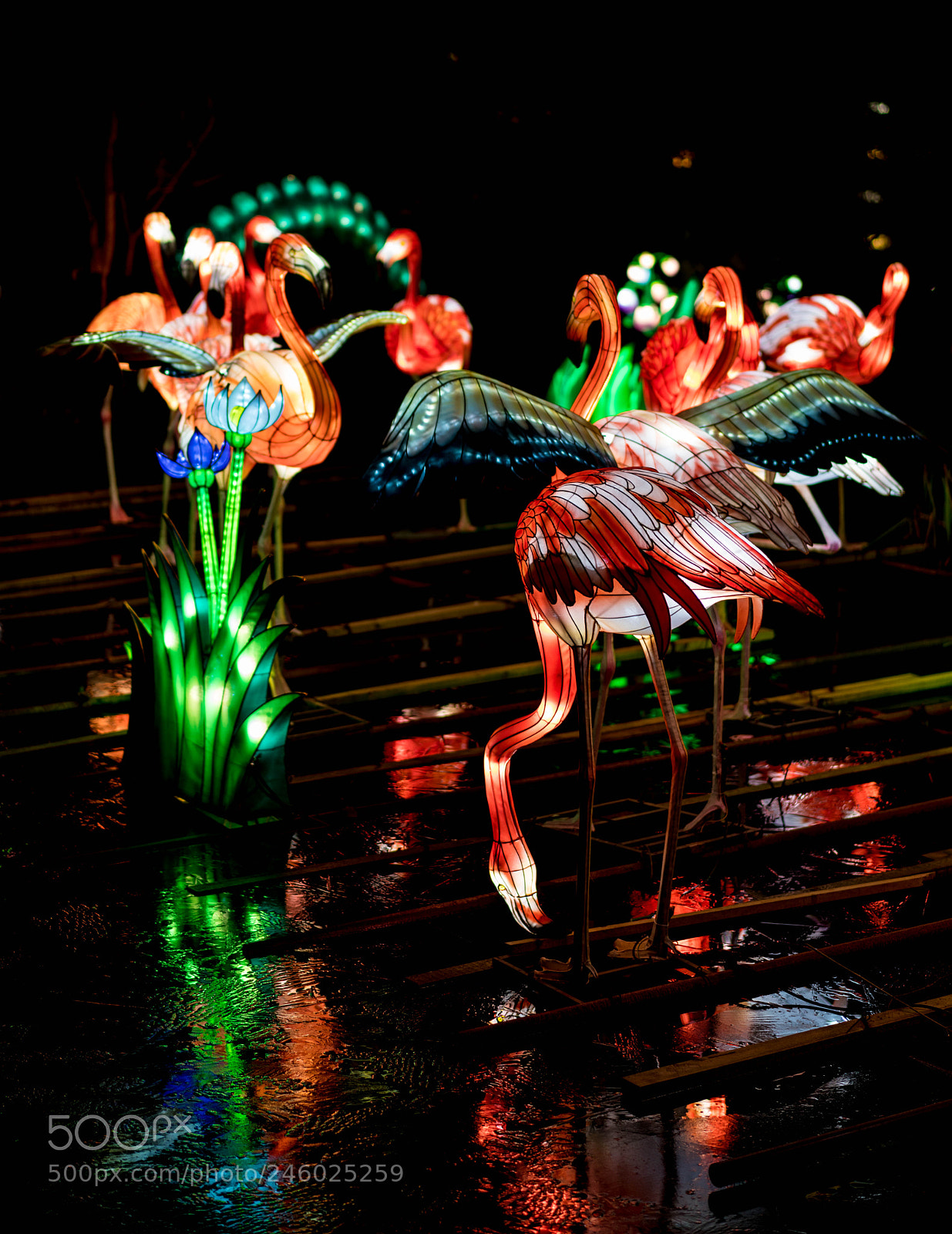 Sony a7R III sample photo. Giant lanterns of china photography