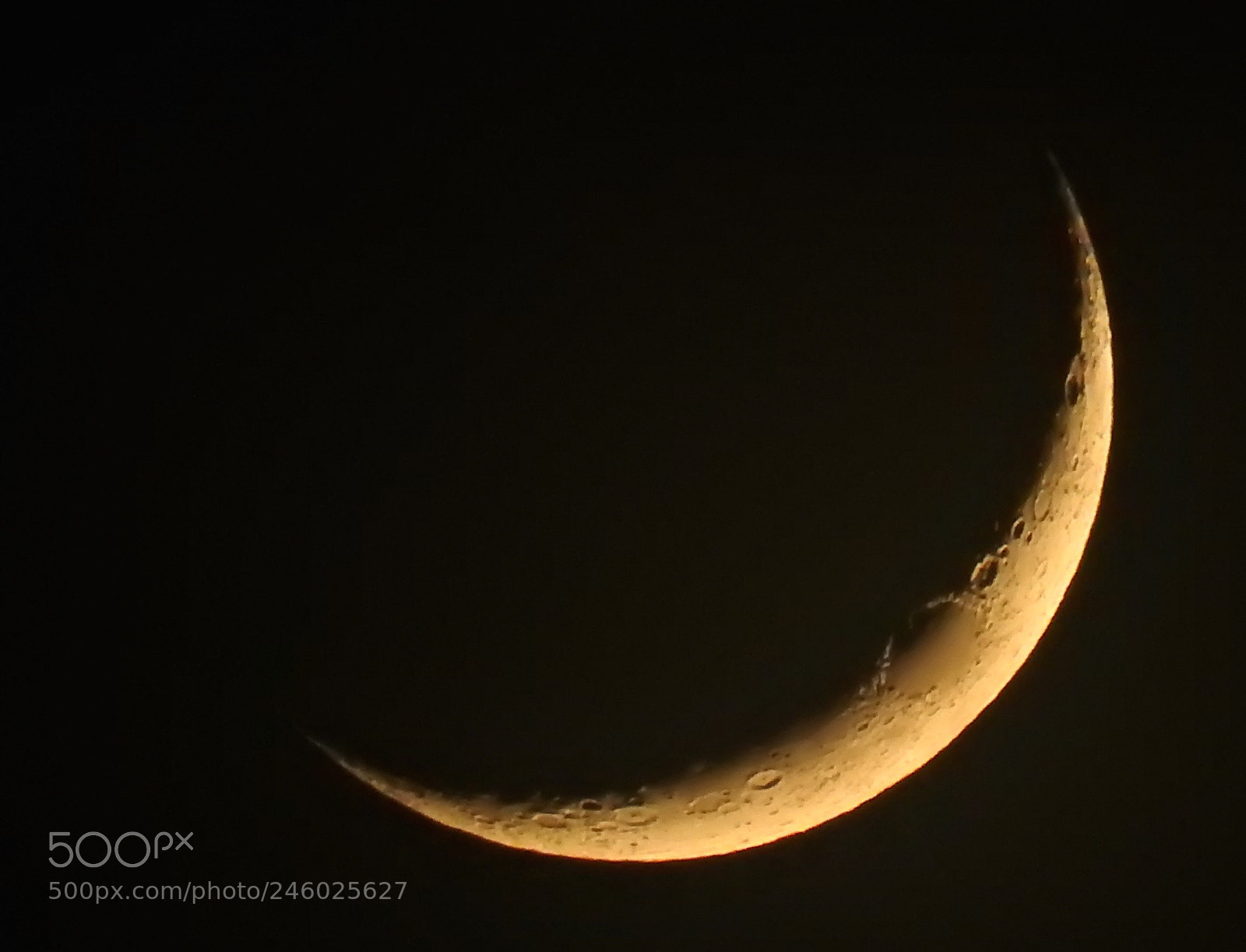 Nikon Coolpix P900 sample photo. Shiva moon photography