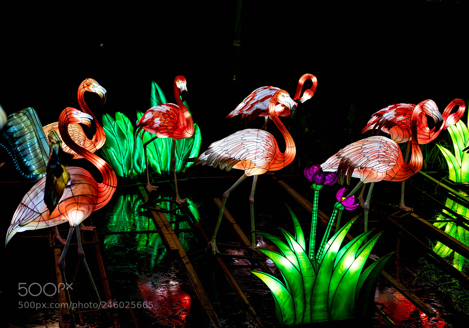 Sony a7R III sample photo. 39354532055.jpg photography