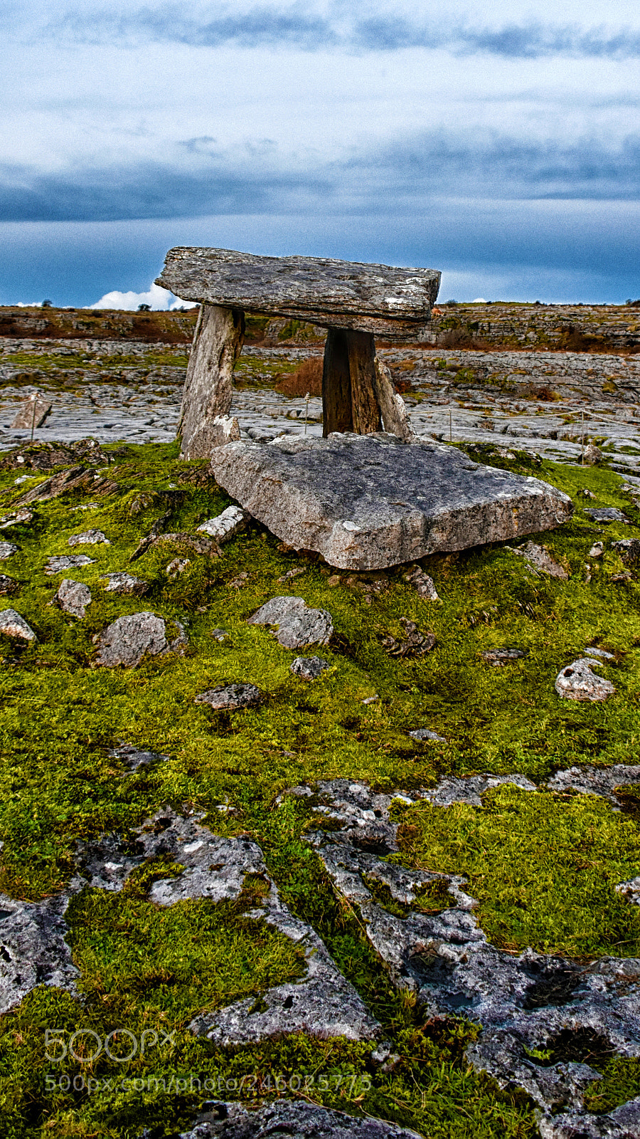 Nikon D7200 sample photo. Poulnabrone dolmen moss photography