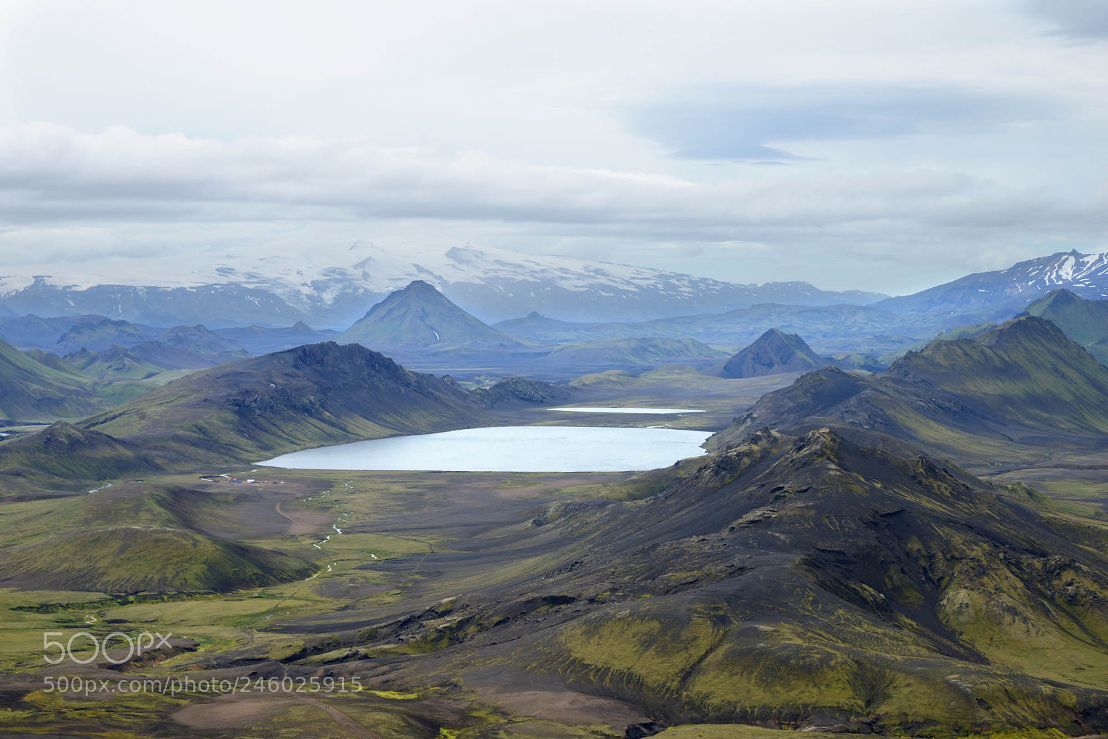 Nikon D600 sample photo. Icelandic swan lake (alfavatn) photography