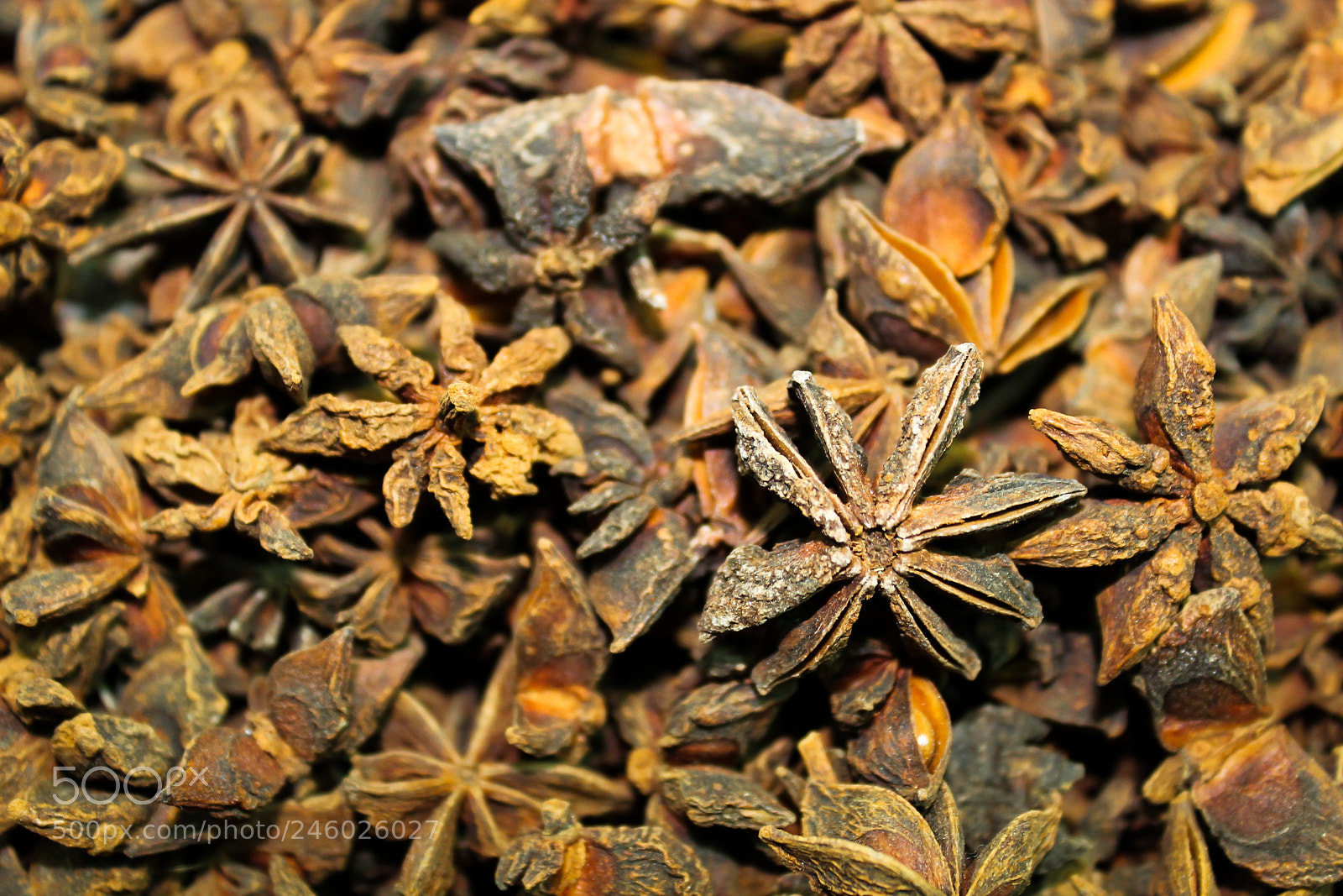 Canon EOS 1100D (EOS Rebel T3 / EOS Kiss X50) sample photo. Anise background photography