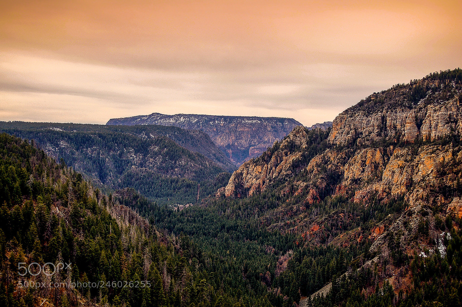 Nikon D50 sample photo. Oak creek canyon photography