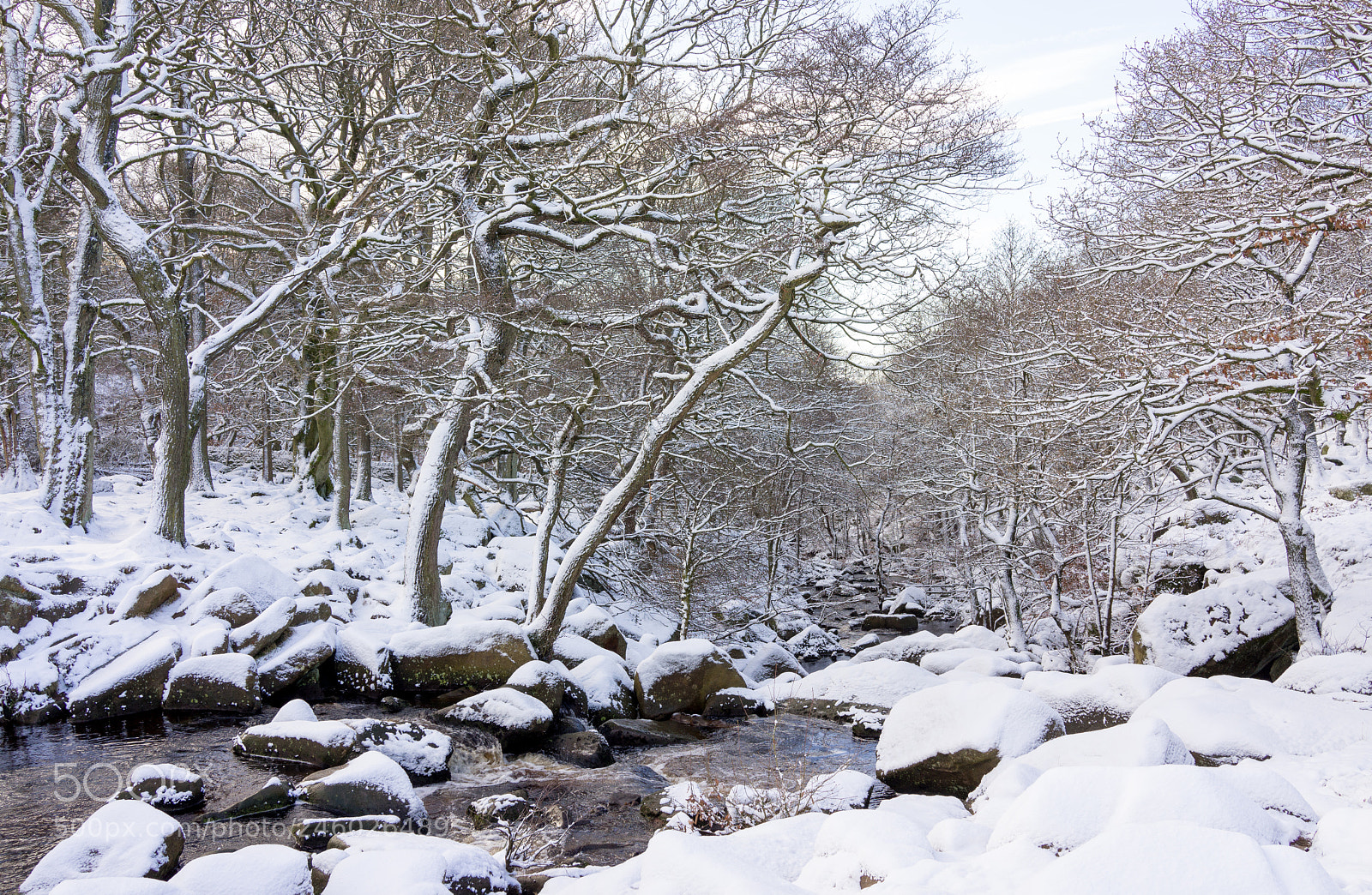 Sony Cyber-shot DSC-RX1 sample photo. Snow fall at padley photography