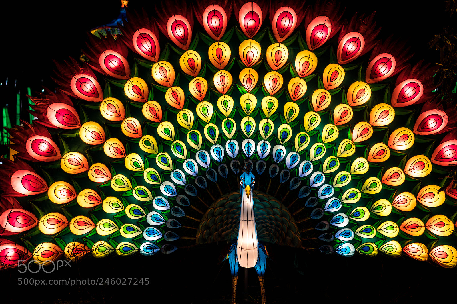 Sony a7R III sample photo. 38442282150.jpg photography