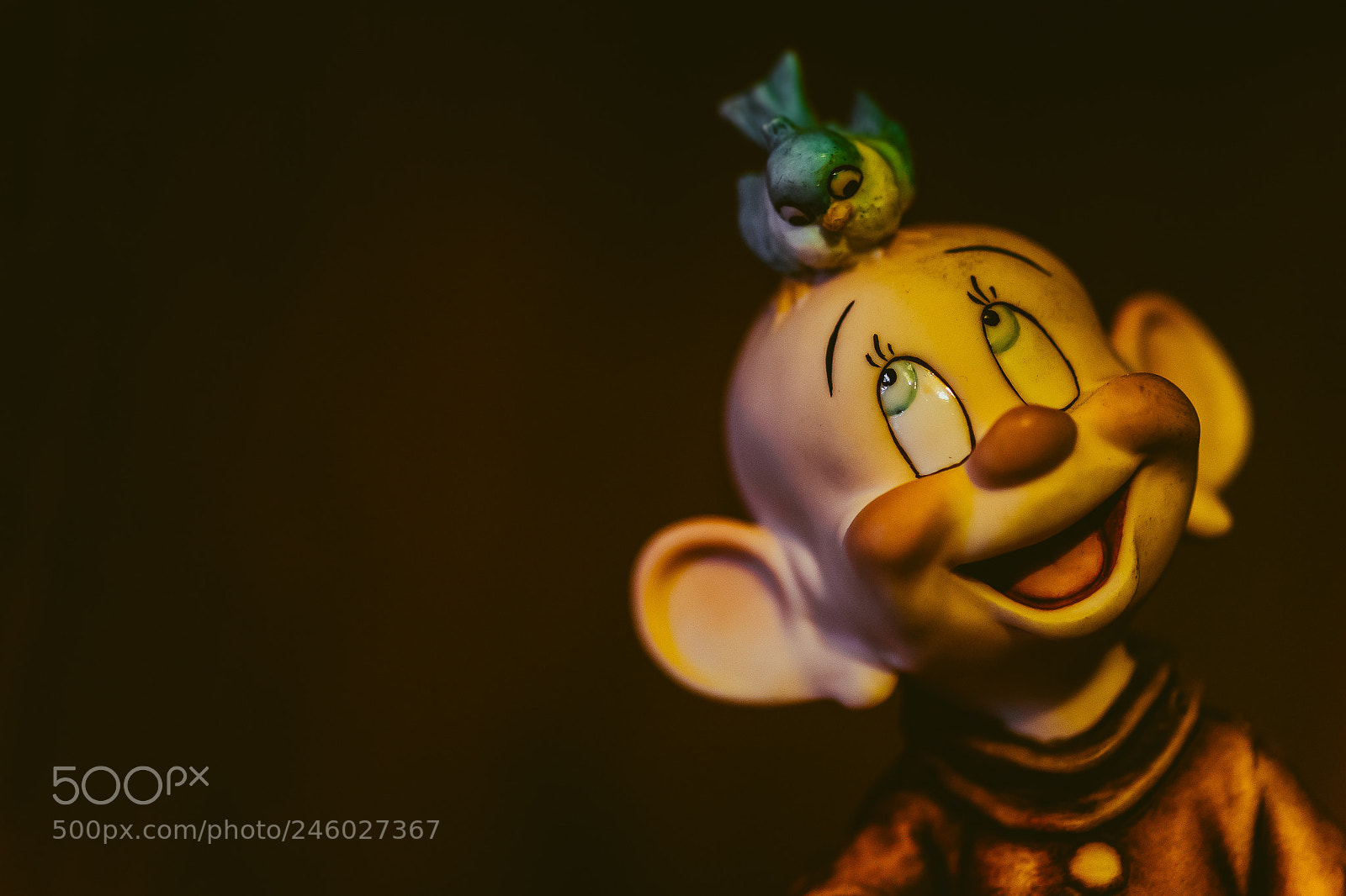 Sony SLT-A99V sample photo. Dopey and the bird photography