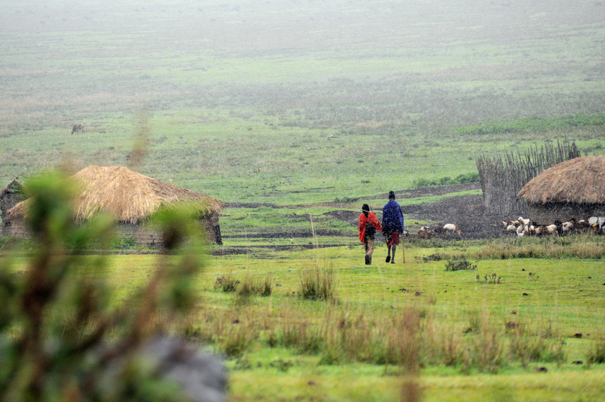 Nikon D90 sample photo. Masai in the rain - ngorongoro, tanzania photography