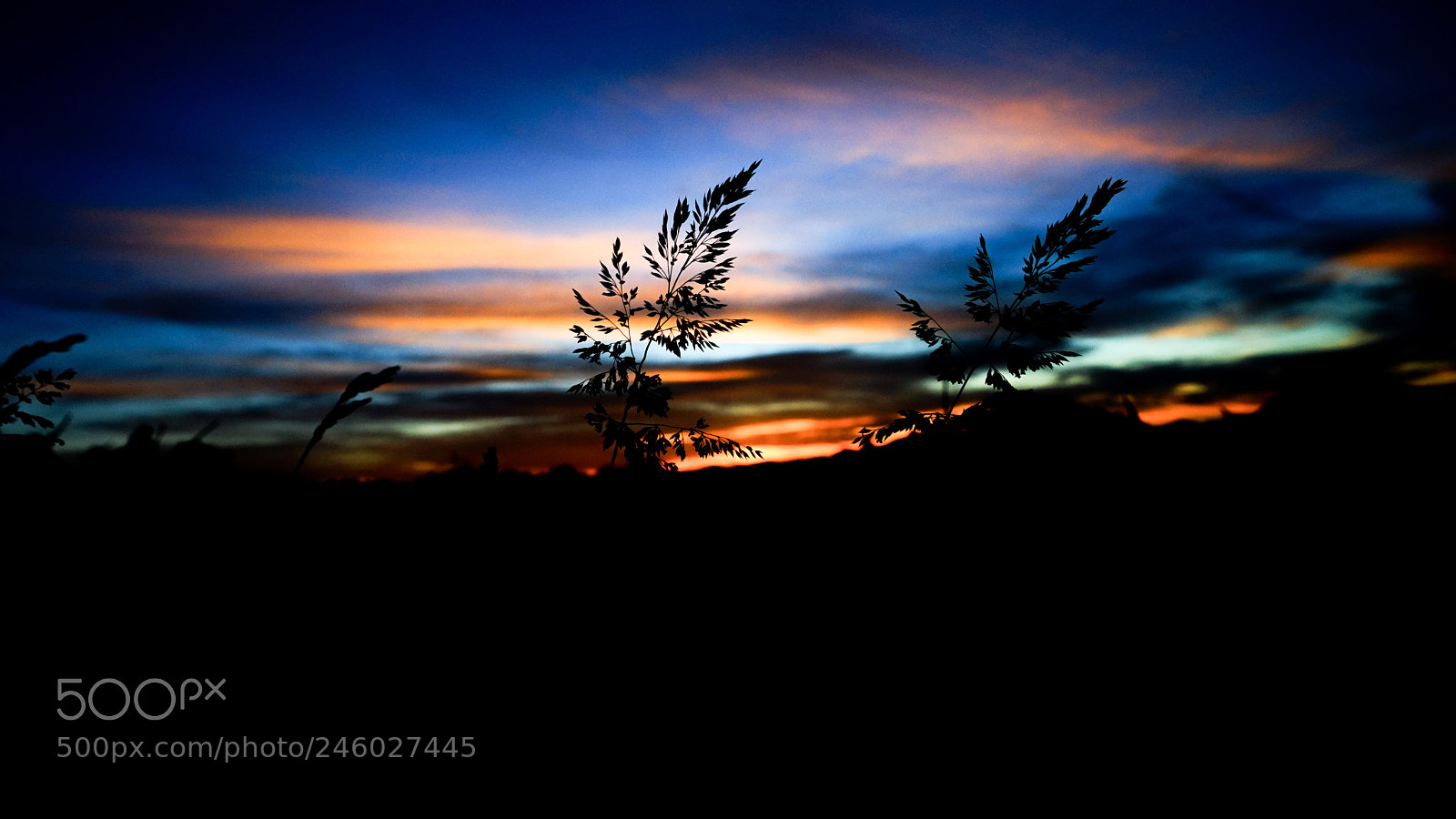 Sony a7 sample photo. Sunset in medellín photography