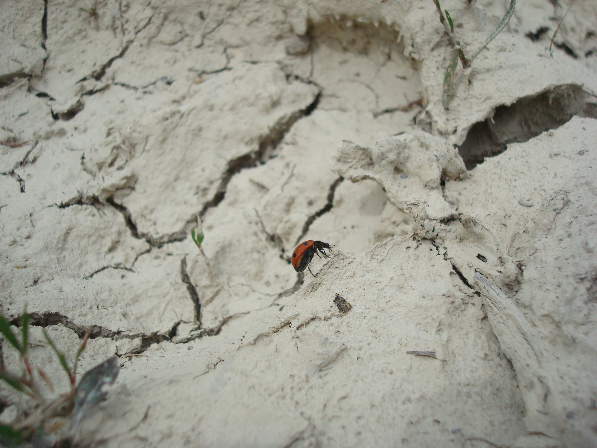 Sony DSC-W80 sample photo. Climber on the moon photography