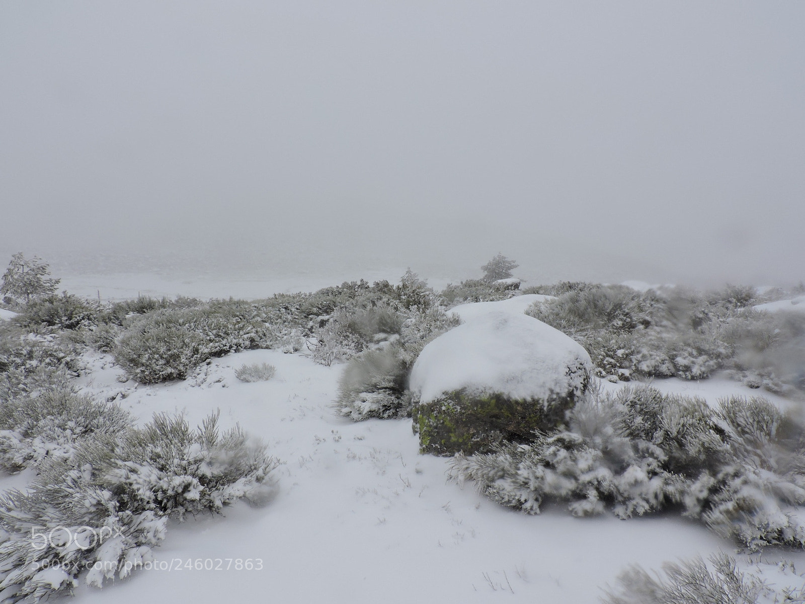 Nikon Coolpix P530 sample photo. Snow in serra da photography