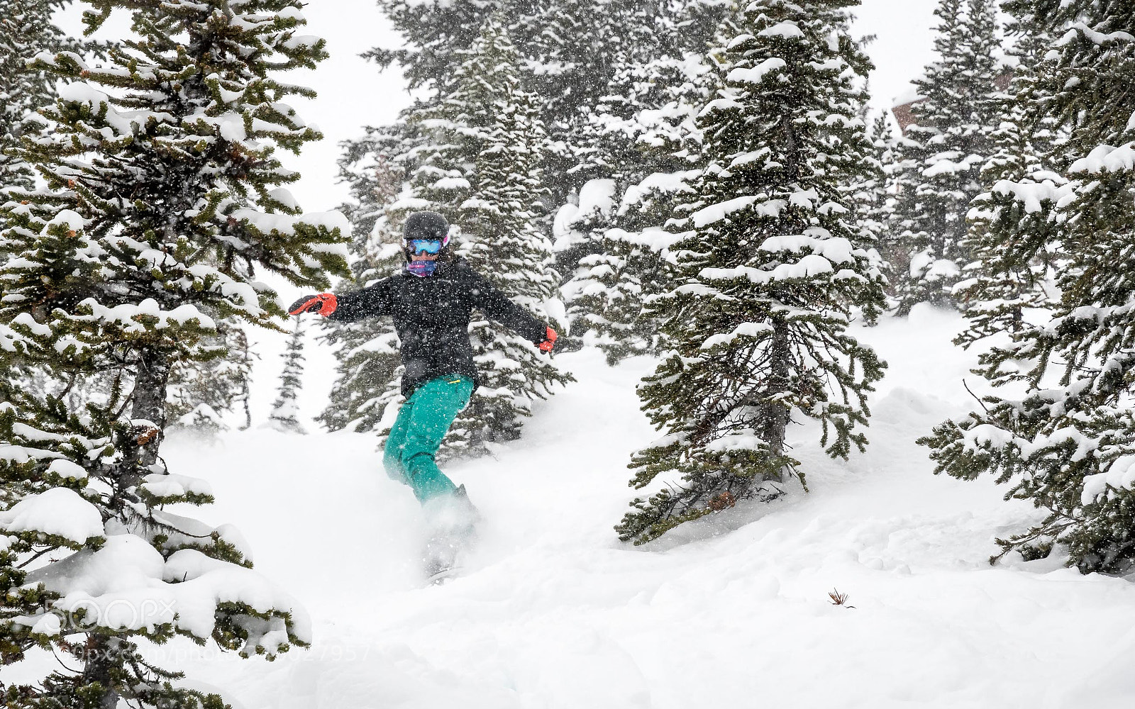 Nikon D500 sample photo. Snowboard photography