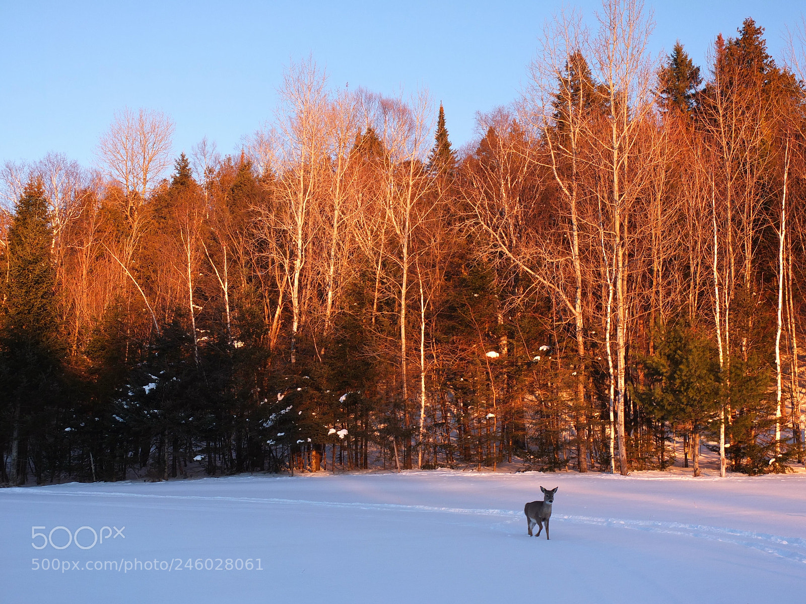 Fujifilm X10 sample photo. Nice meet at dusk photography
