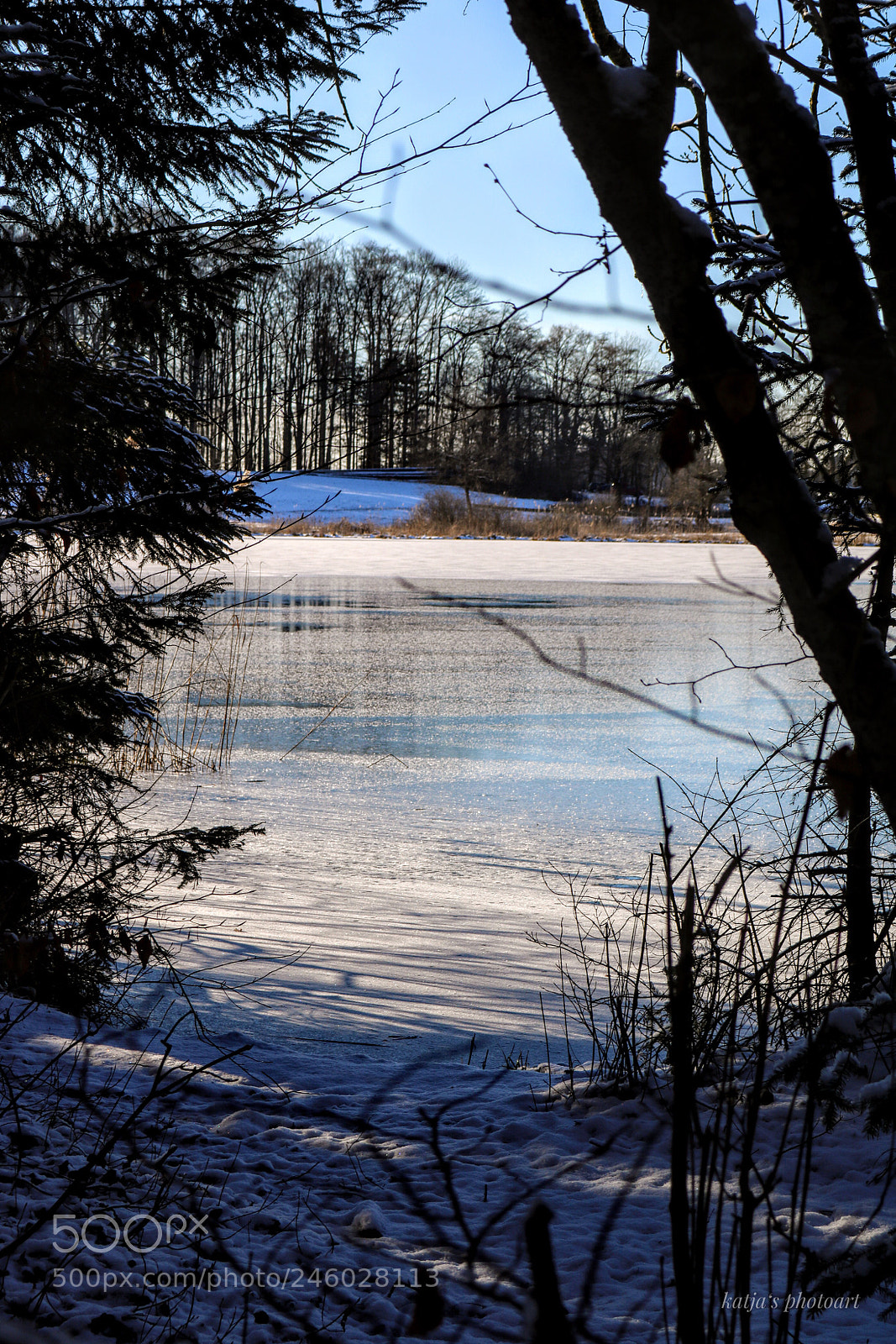 Canon EOS 750D (EOS Rebel T6i / EOS Kiss X8i) sample photo. Brauiweiher ll photography