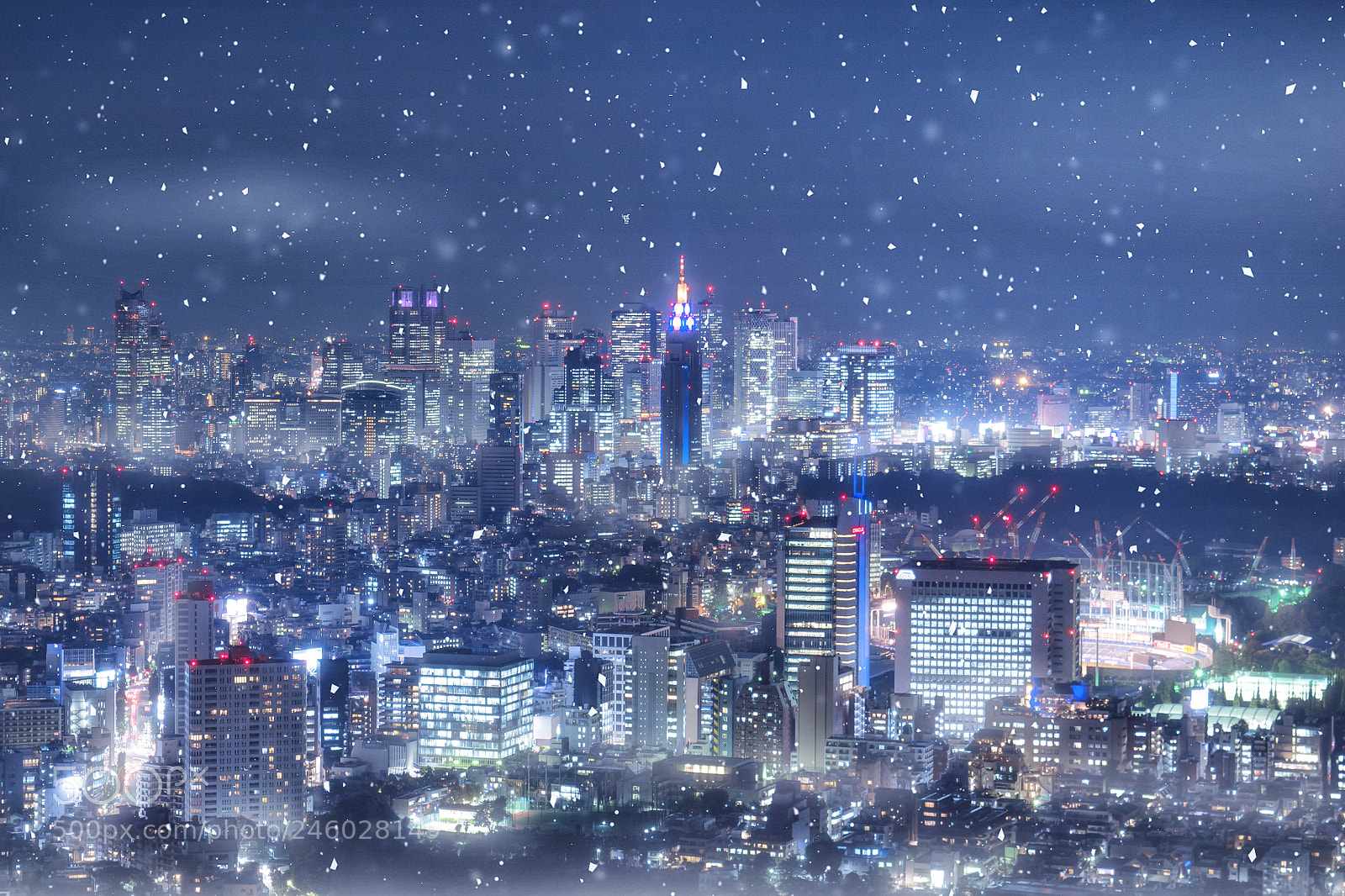 Nikon D3100 sample photo. 東京 photography